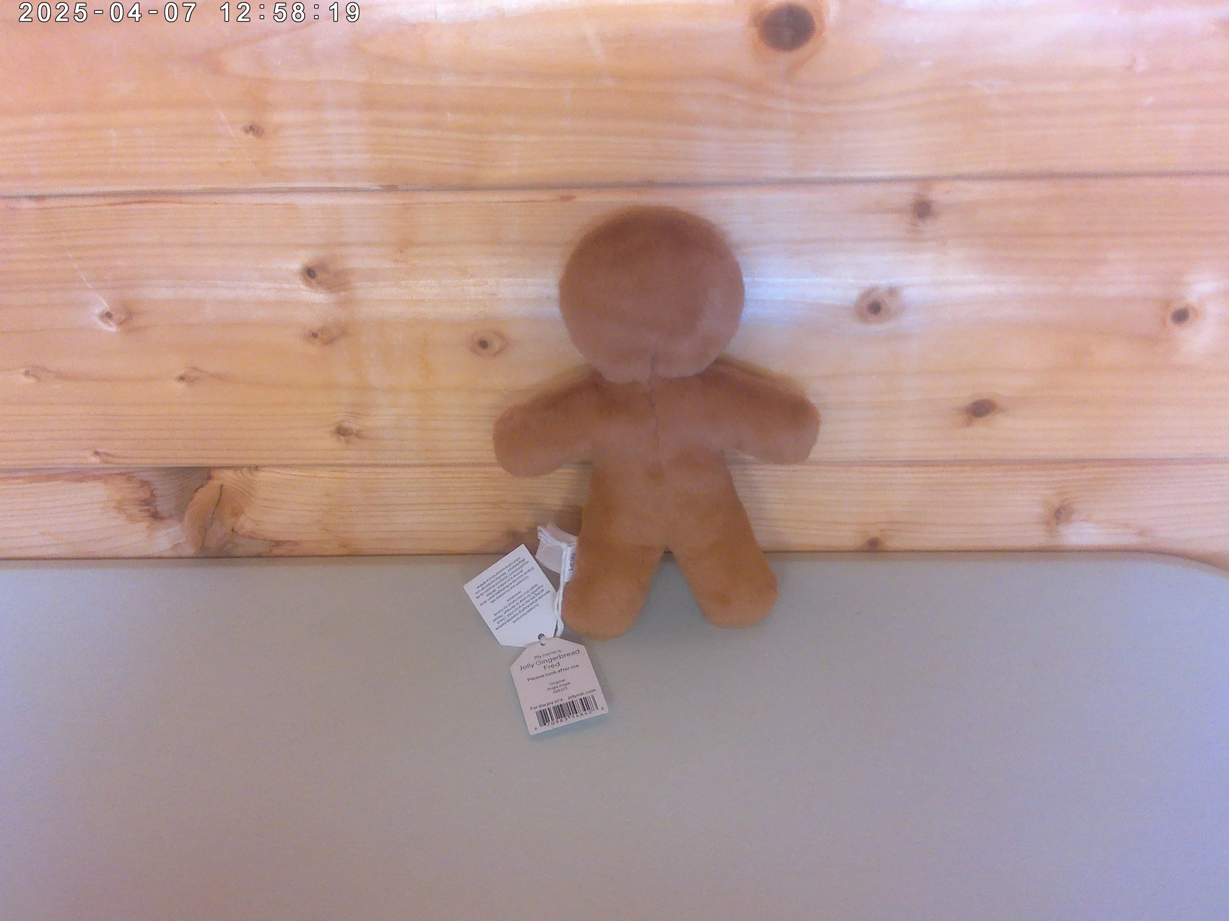 Gingerbread man - photo 2.jpg