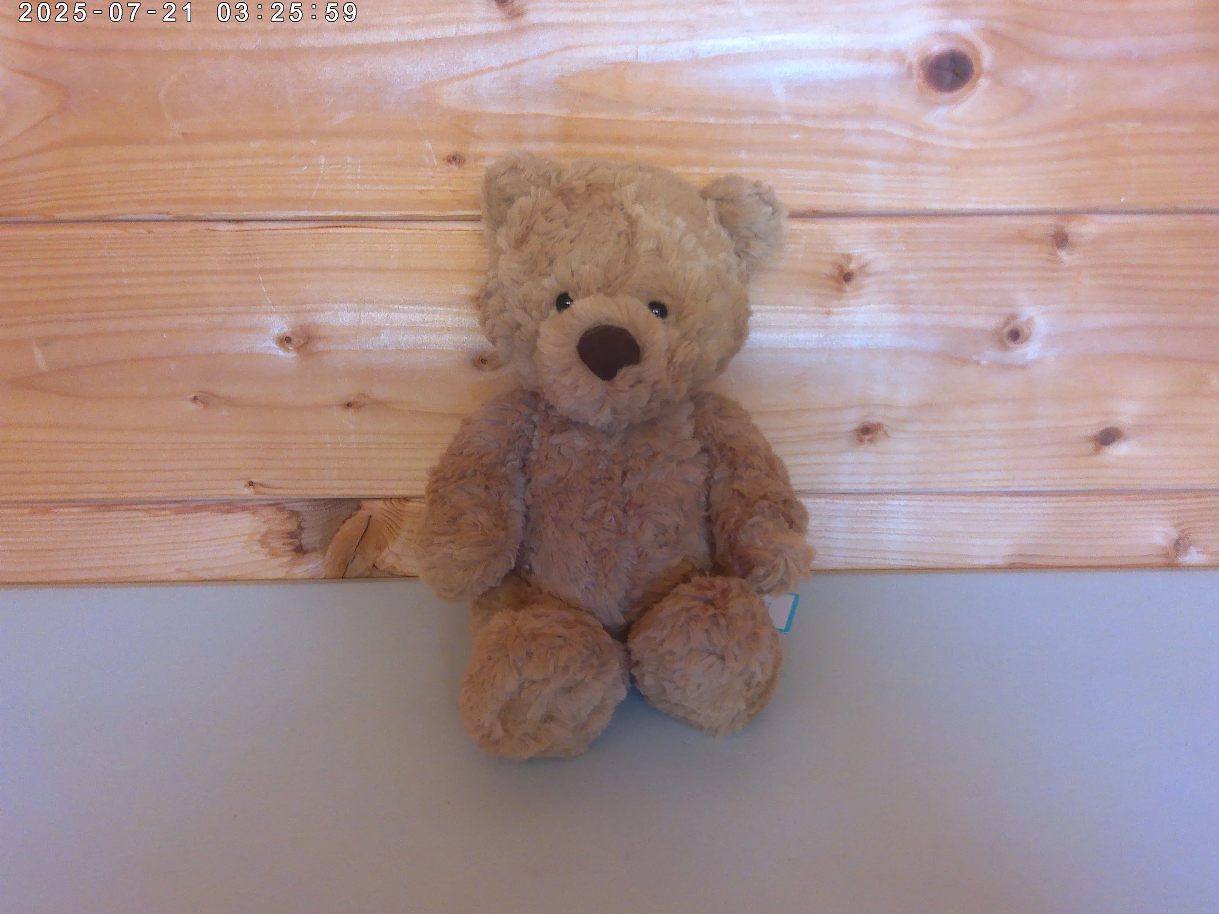Bumbly bear - photo 1.jpg