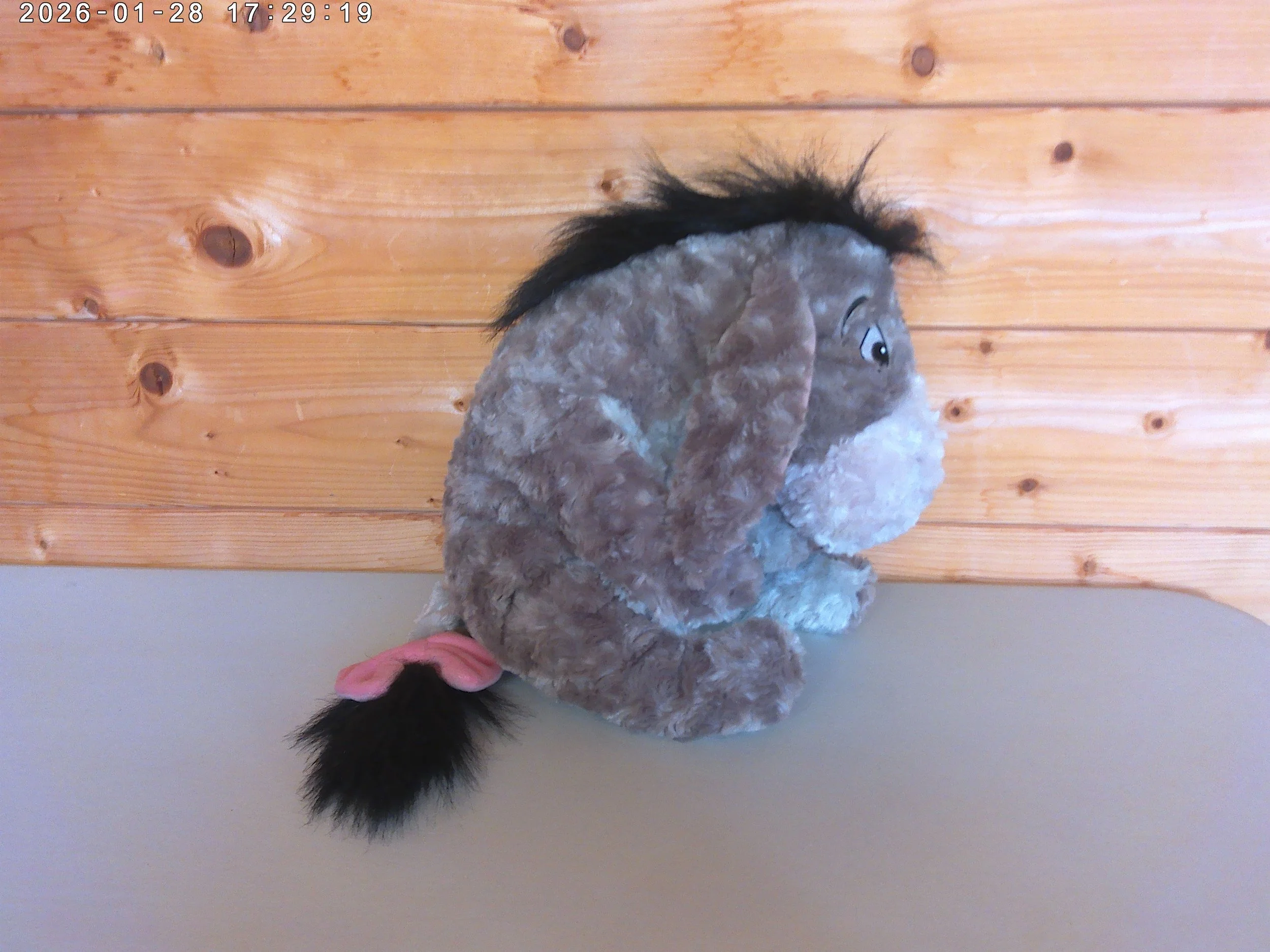 Eeyore - photo 5.jpg