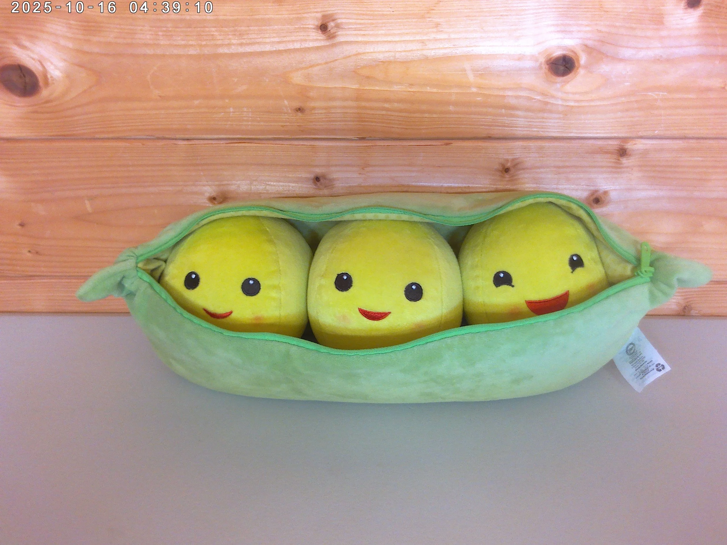 Medium peas in a pod - photo 2.jpg