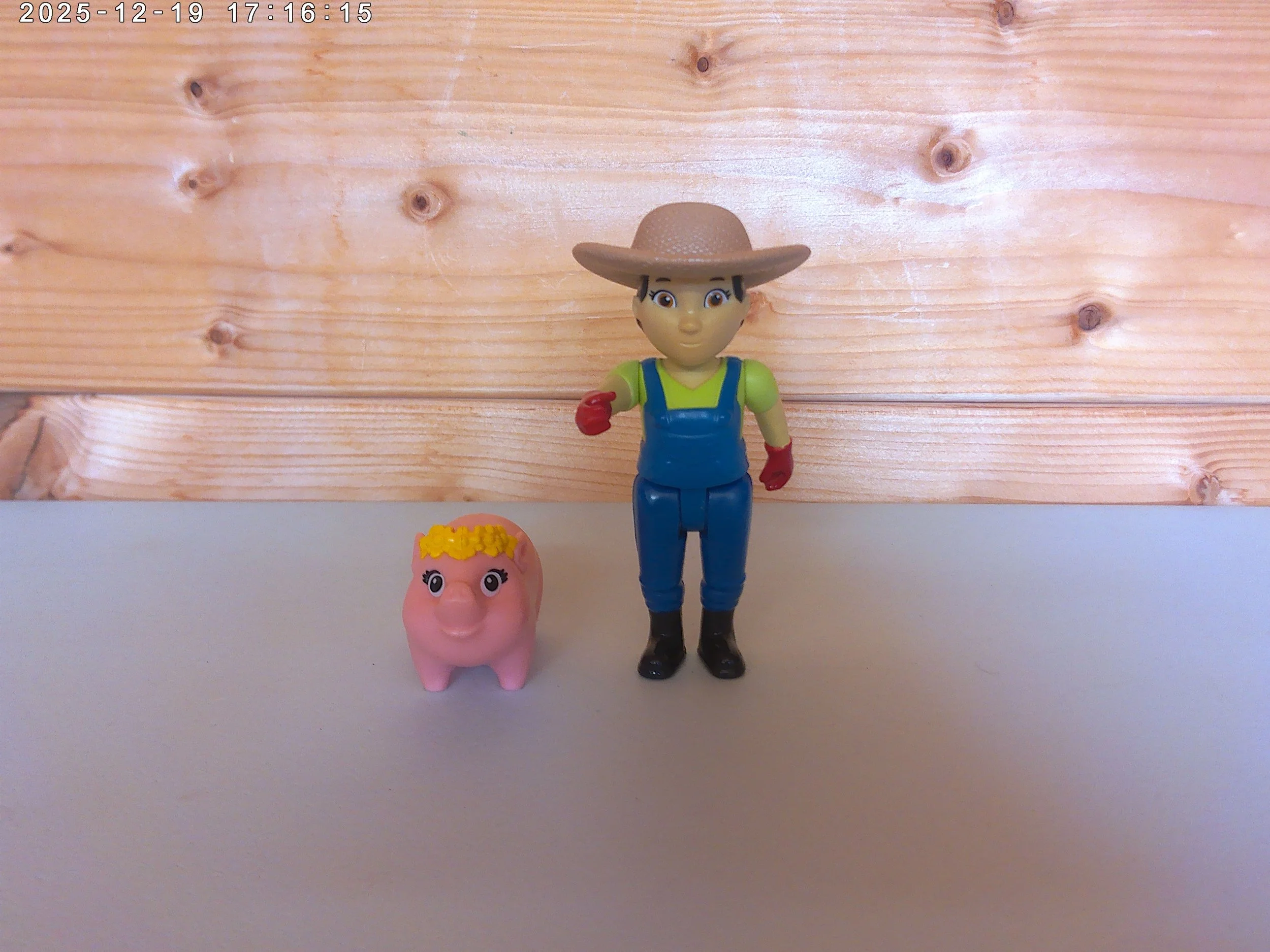 Paw Patrol Farmer Yumi & Piggie Figures