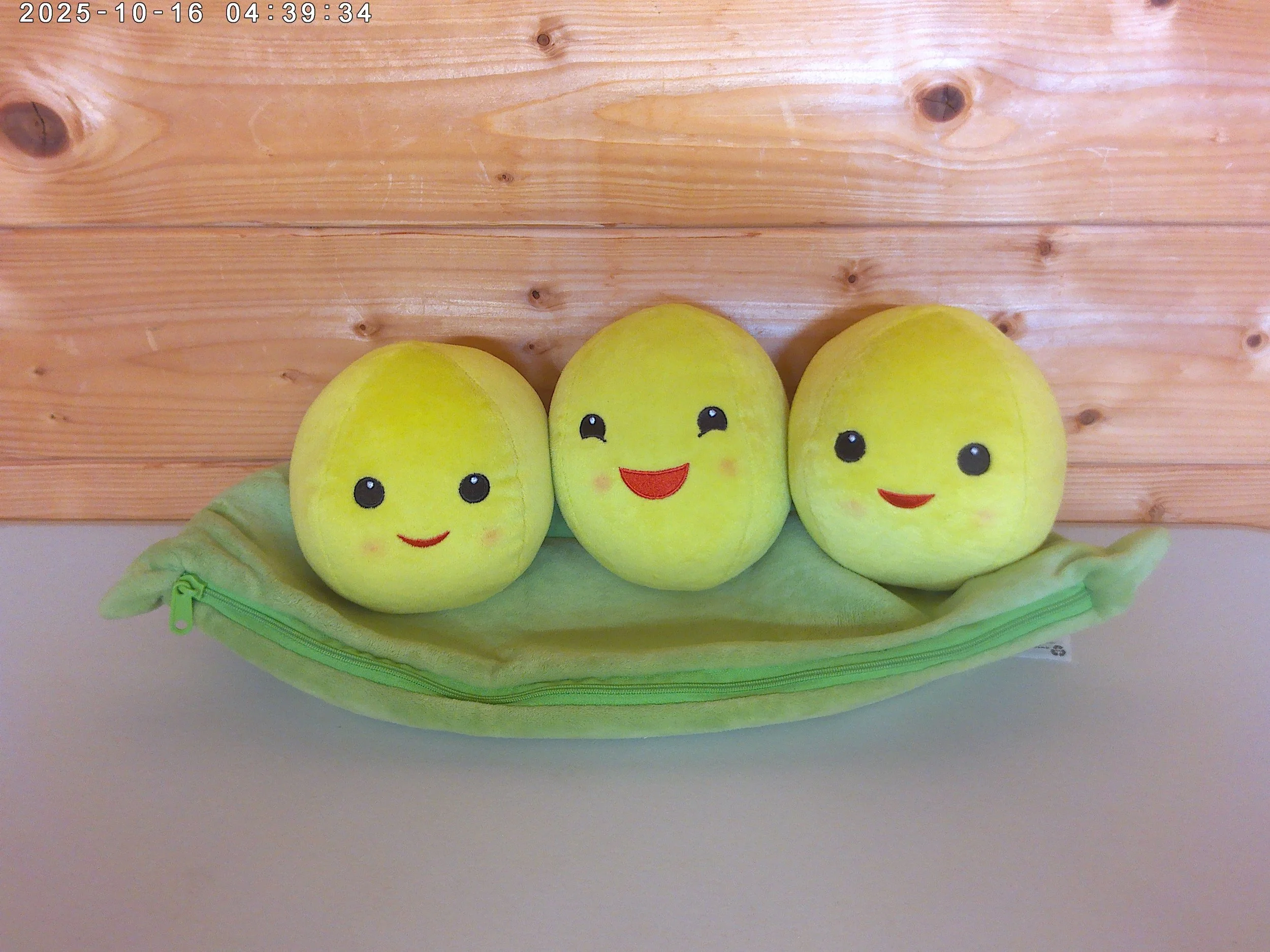Medium peas in a pod - photo 4.jpg
