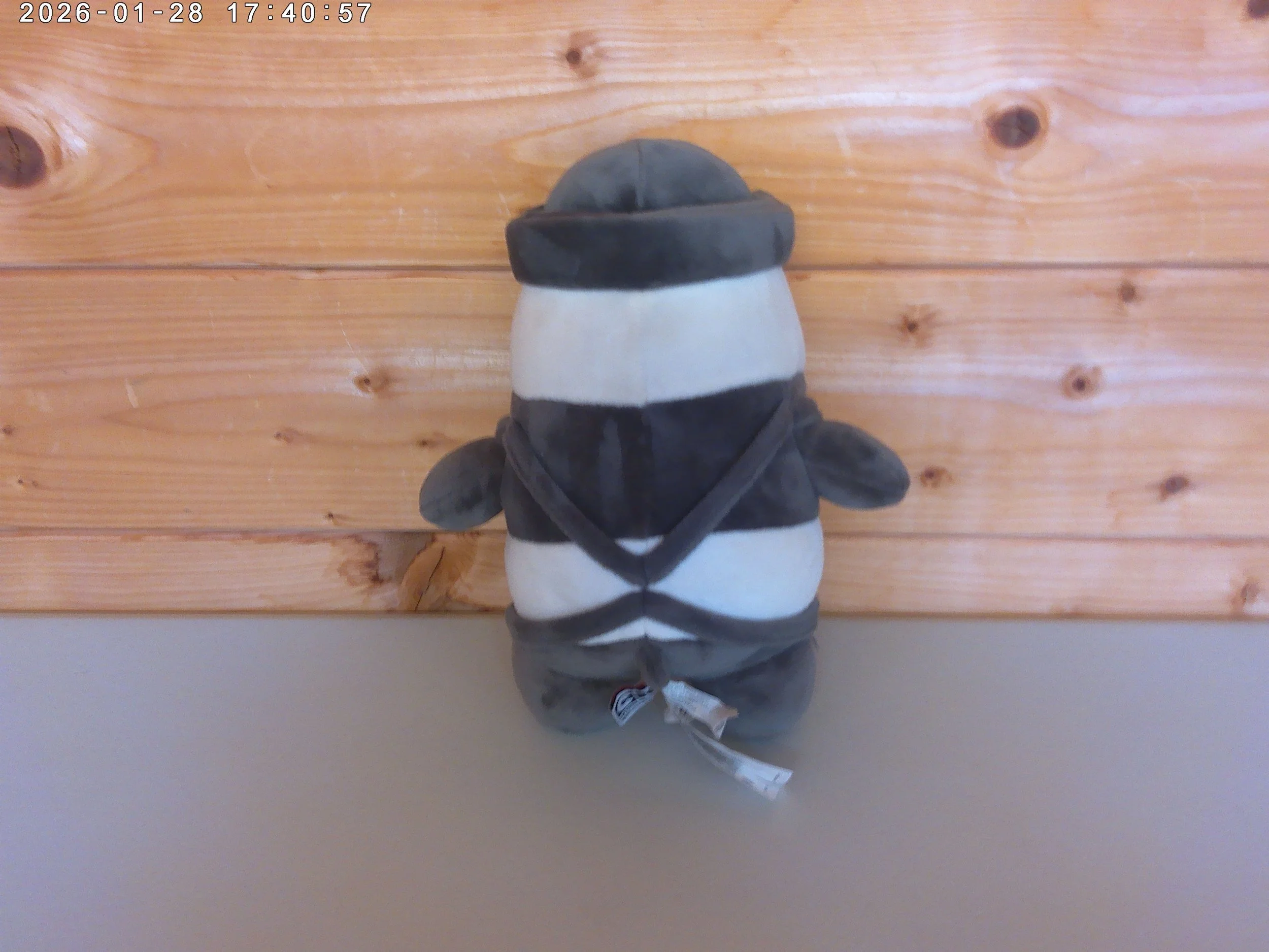 We Bear Bears - photo 2.jpg