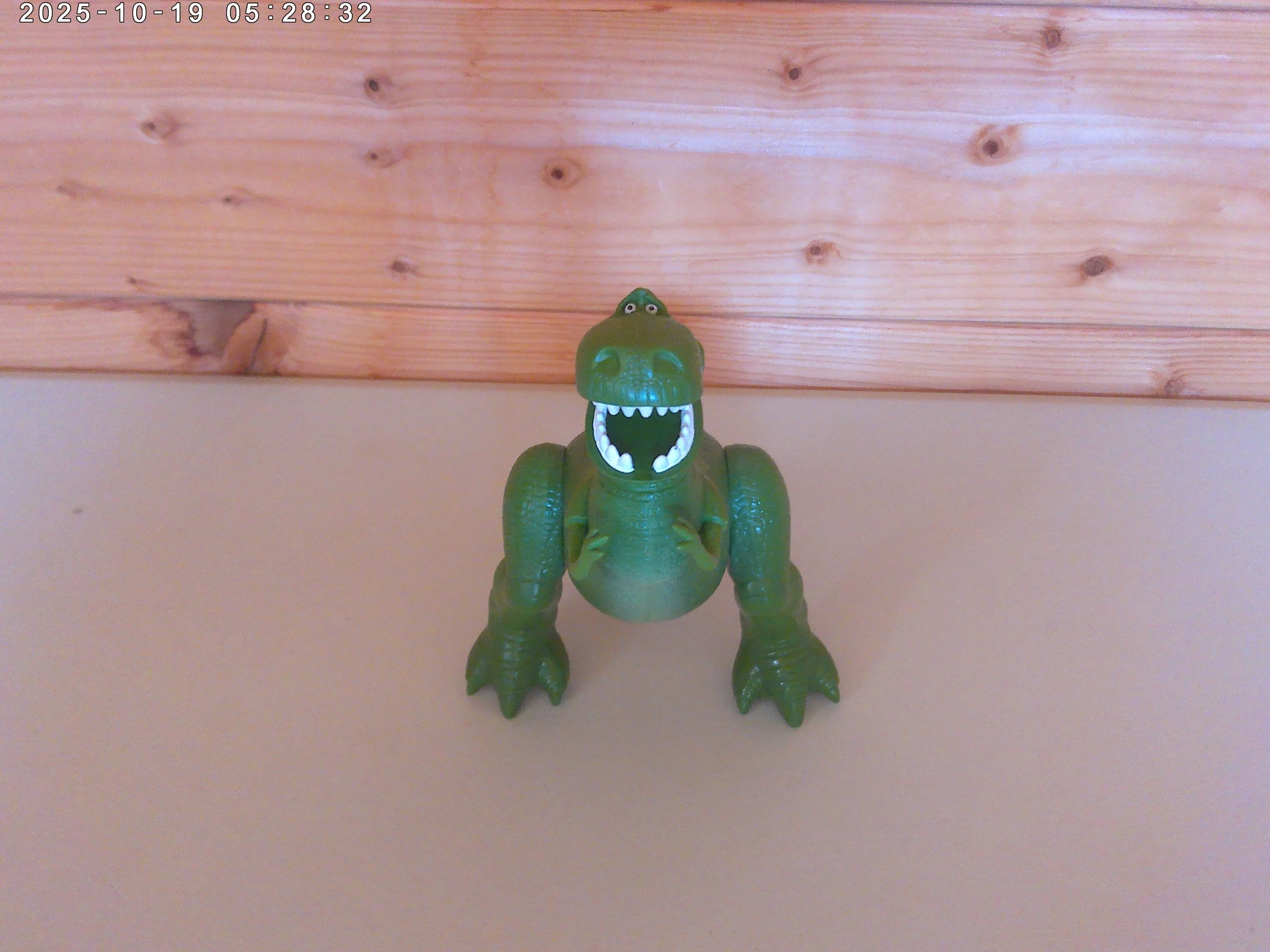 Rex - photo 3.jpg
