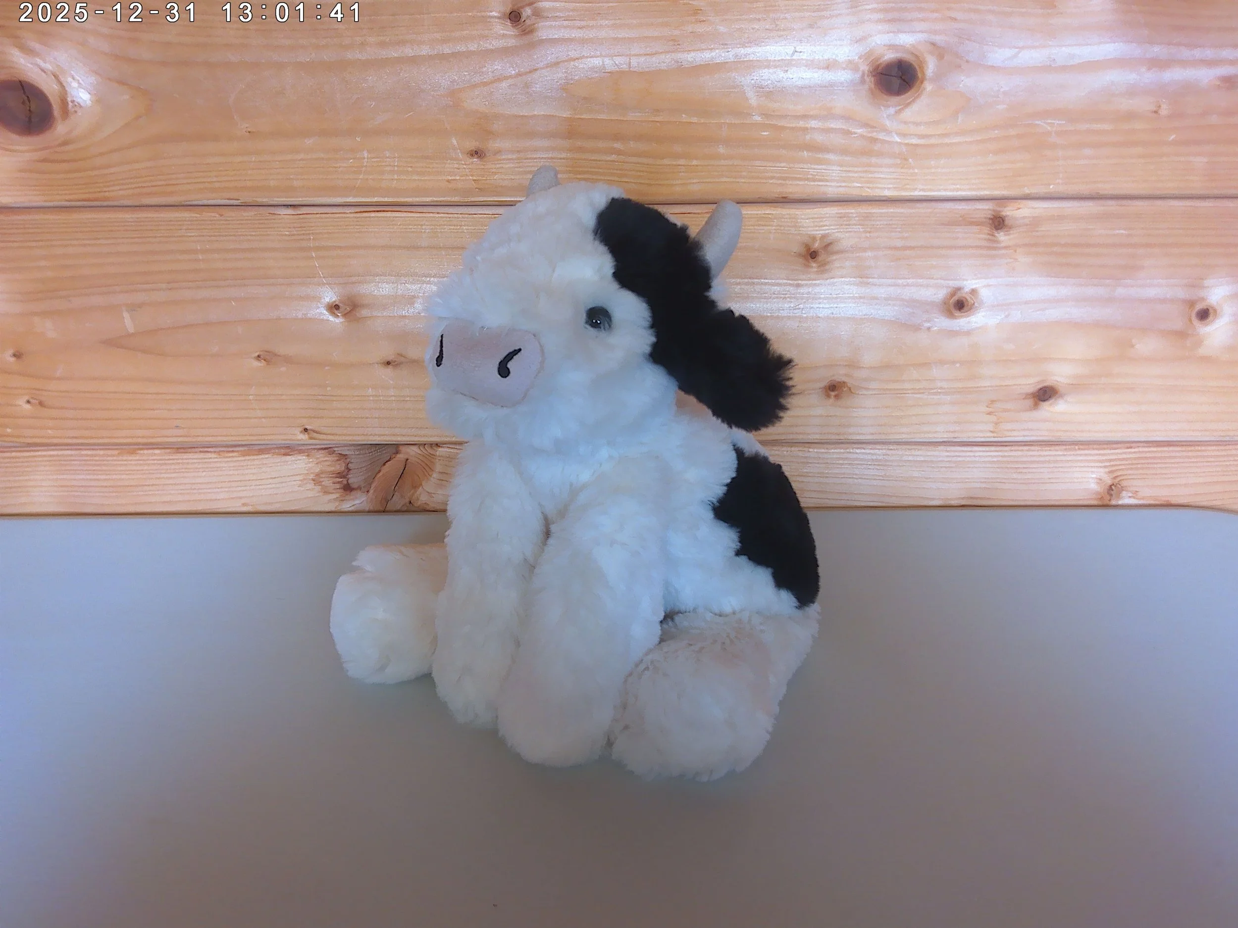 Smudge cow - photo 1.jpg