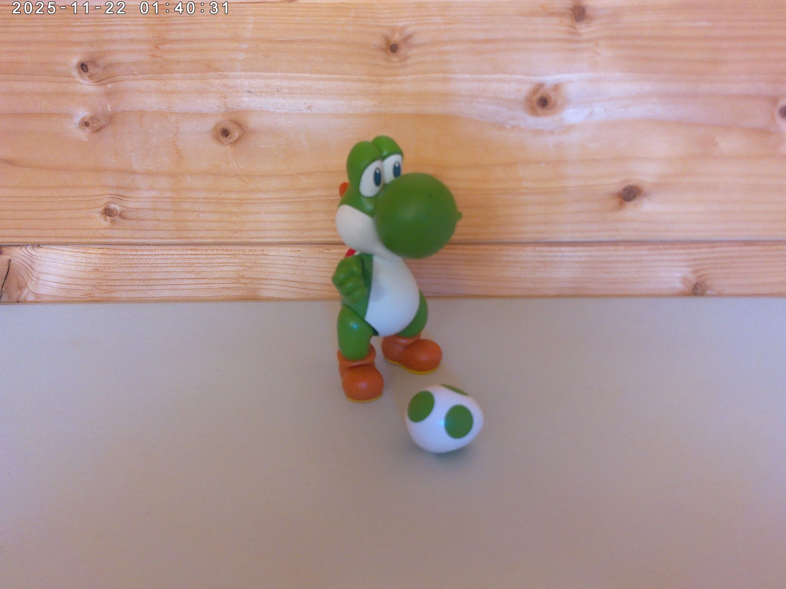 Yoshi & egg - photo 1.jpg