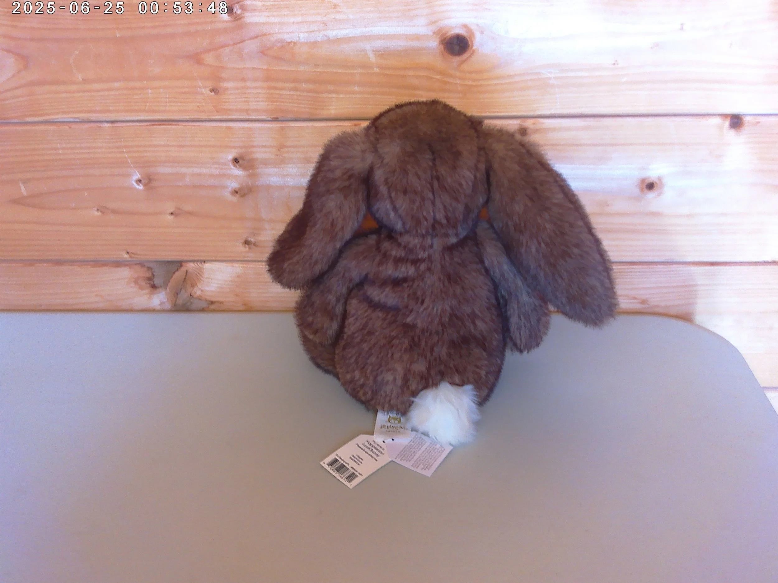 Hoppleston - photo 2.jpg