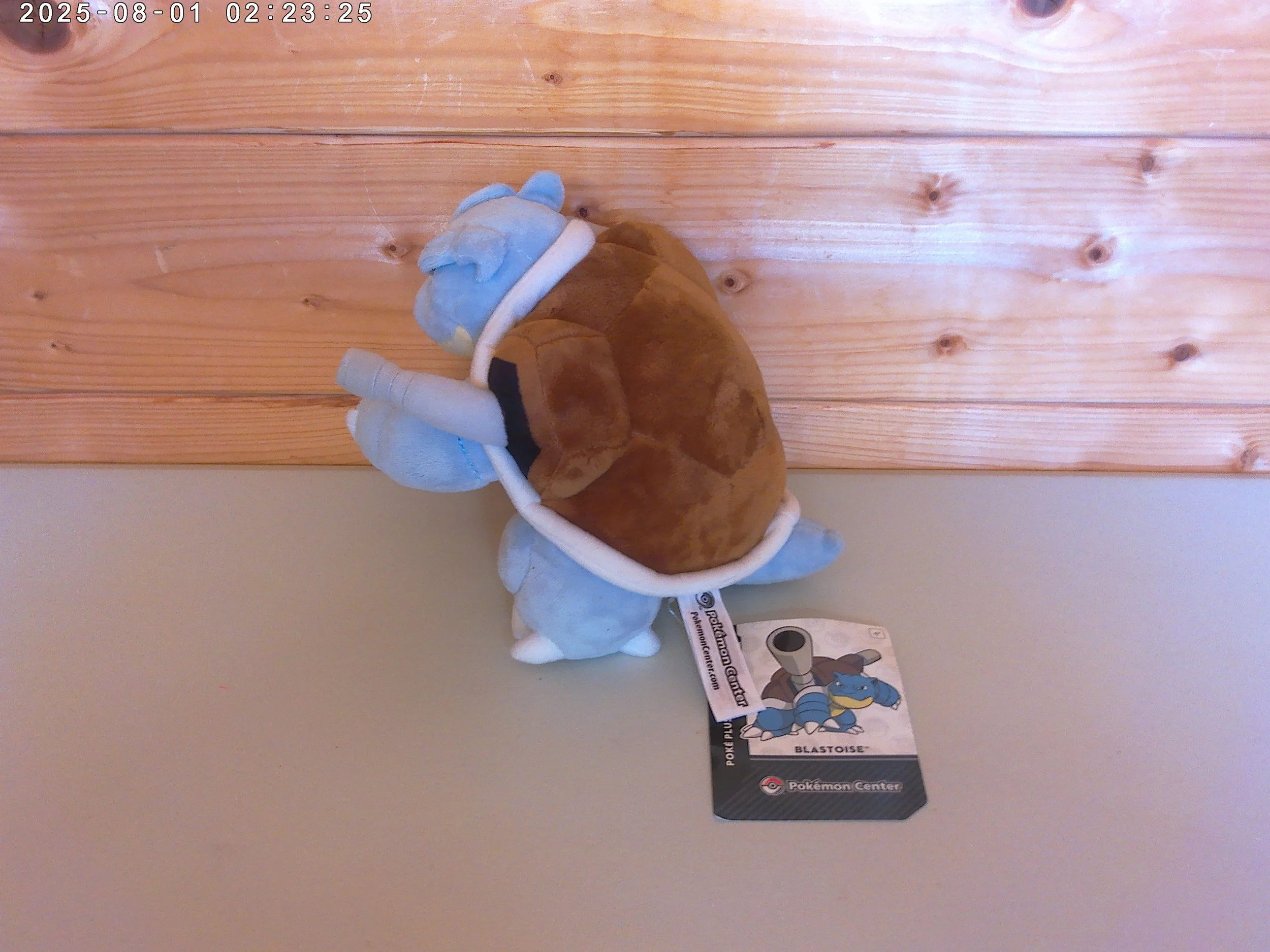 Blastoise - photo 2.jpg