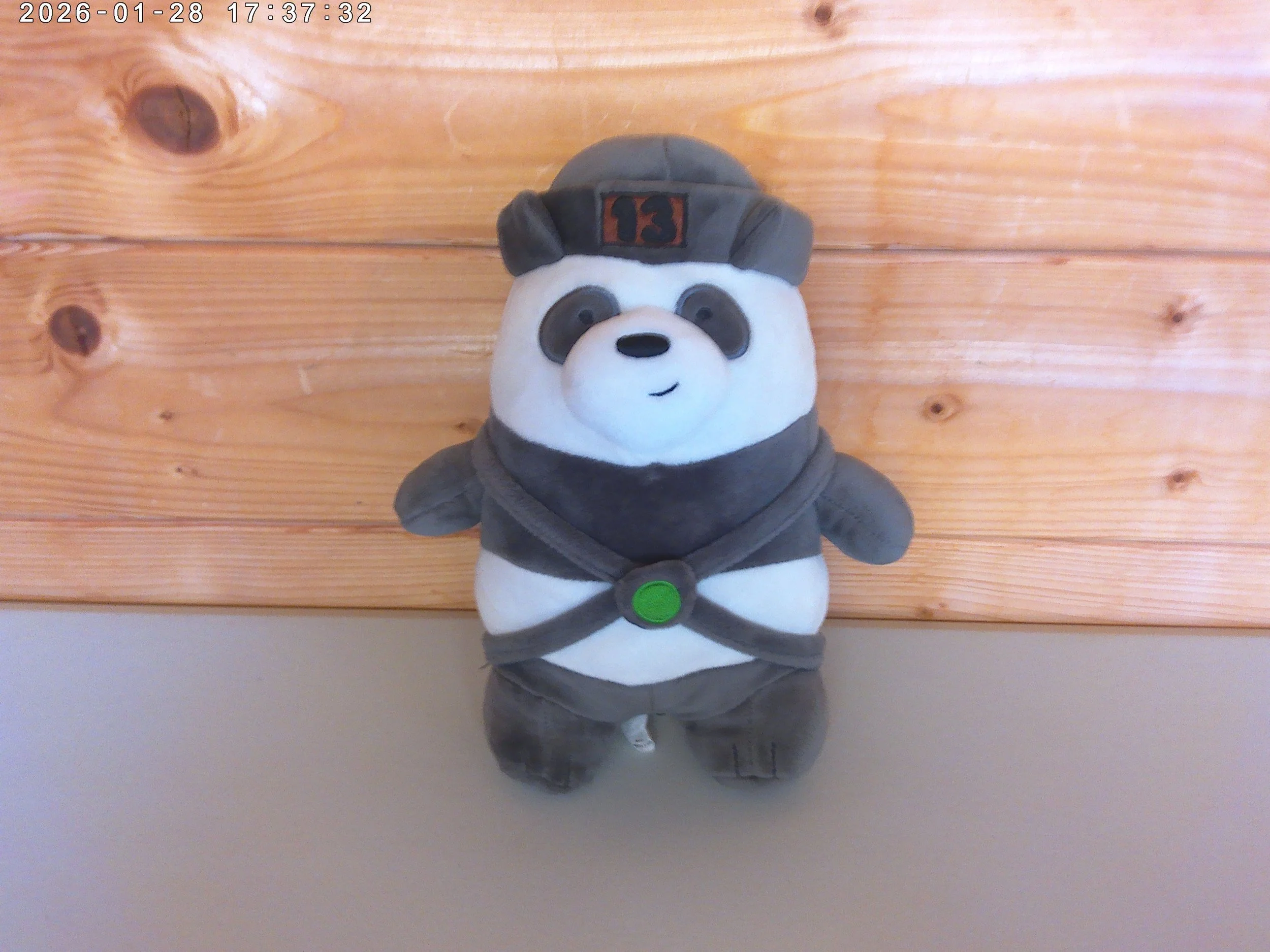 We Bear Bears - photo 1.jpg