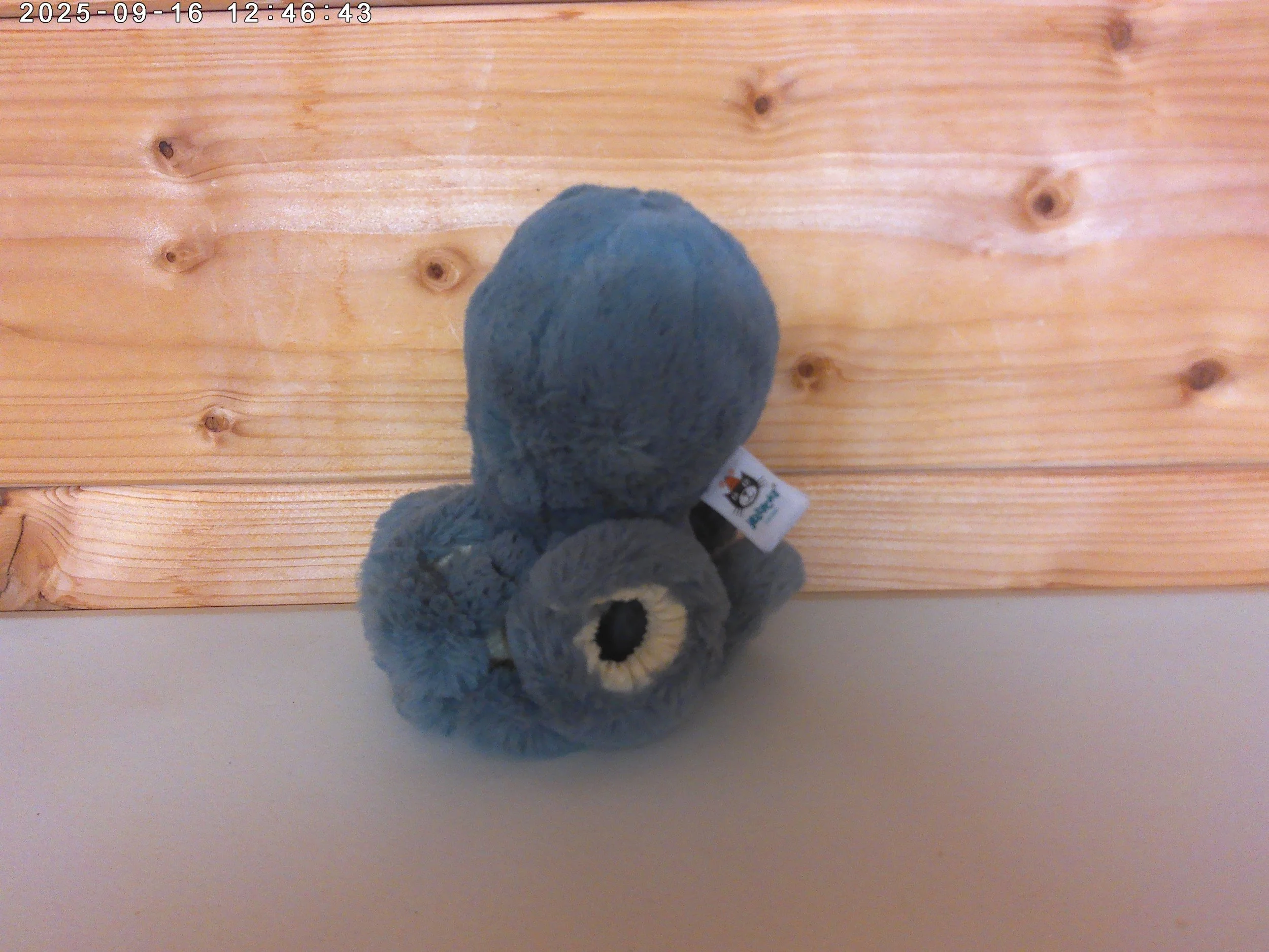 Storm Octopus - photo 2.jpg