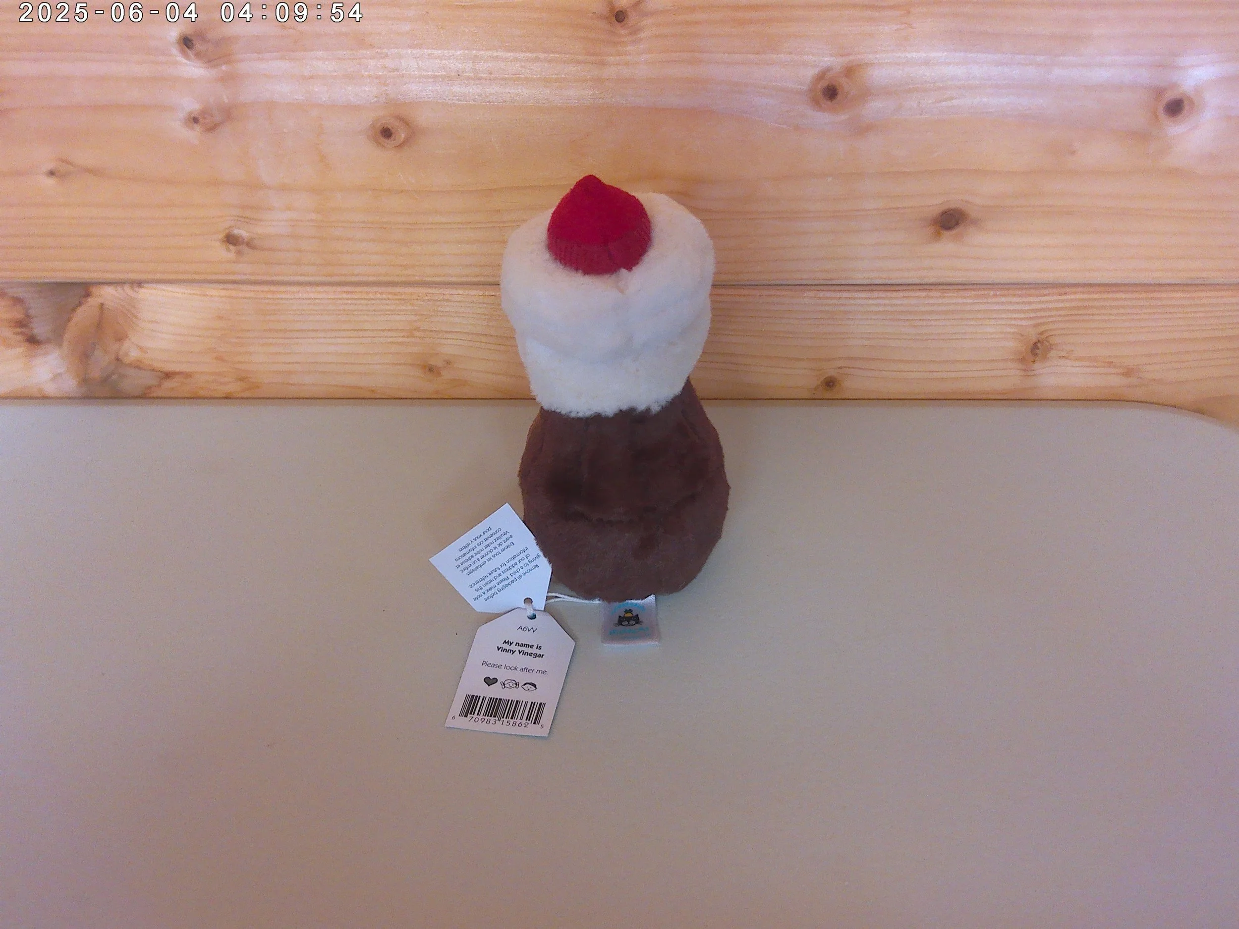 Vinegar - photo 2.jpg