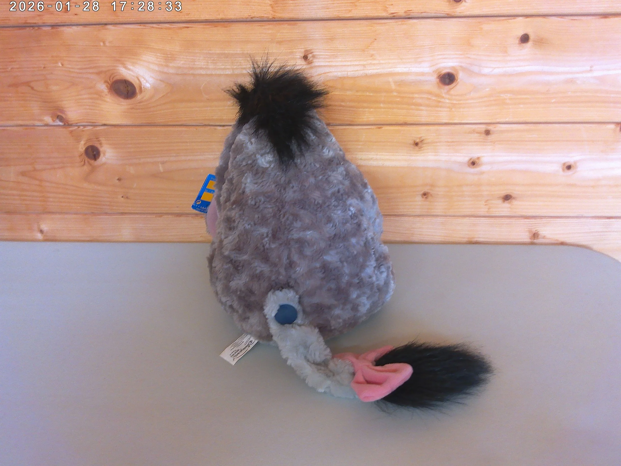 Eeyore - photo 3.jpg