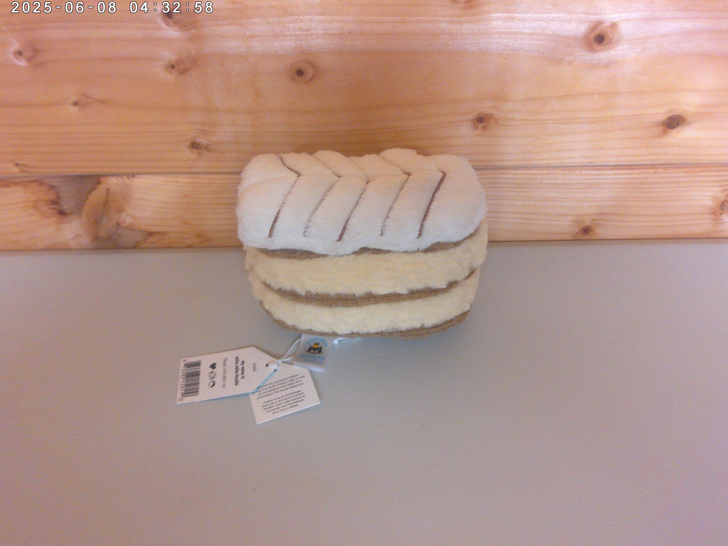 Millie - photo 2.jpg