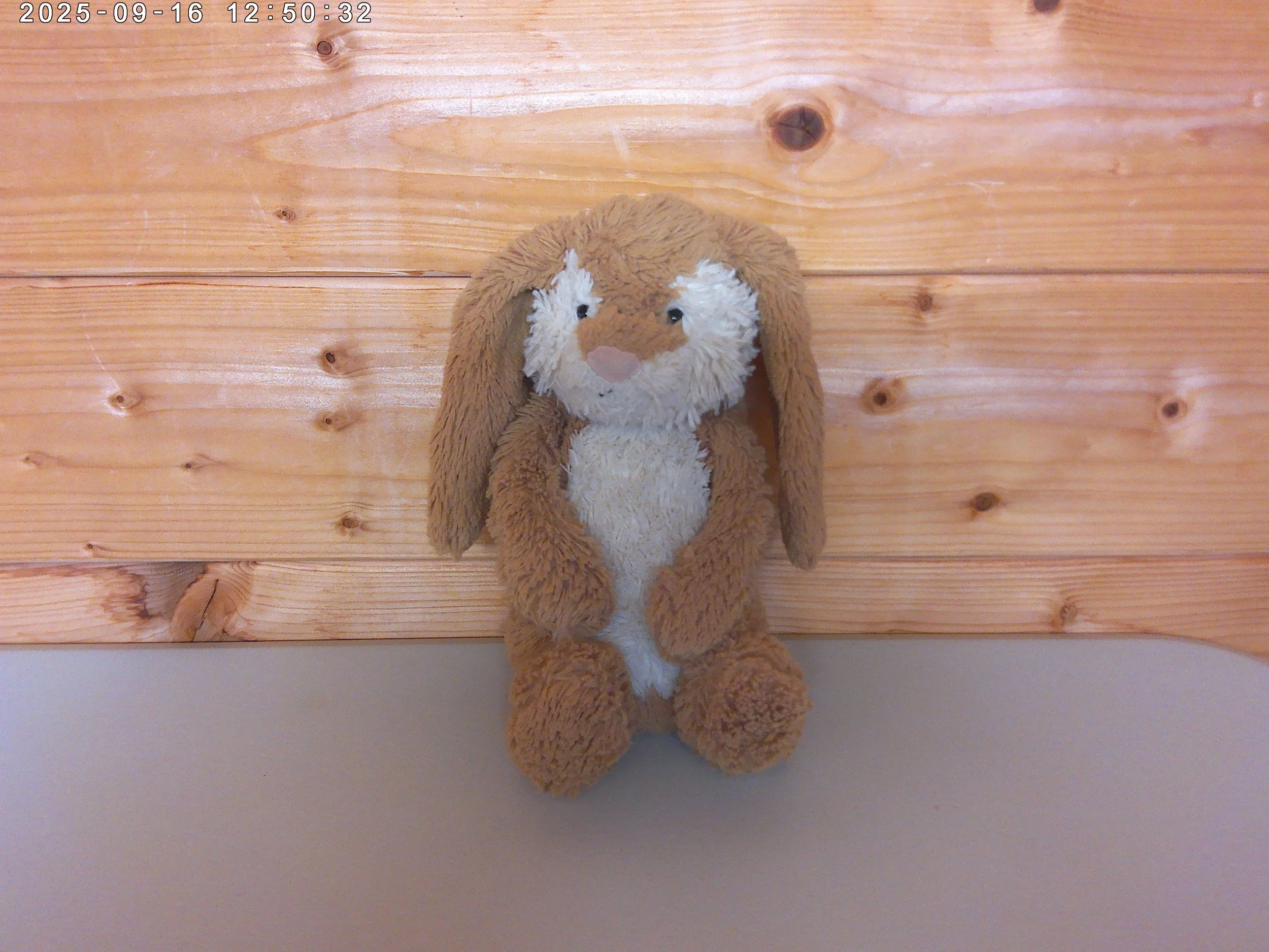 Wriggle bunny - photo 5.jpg