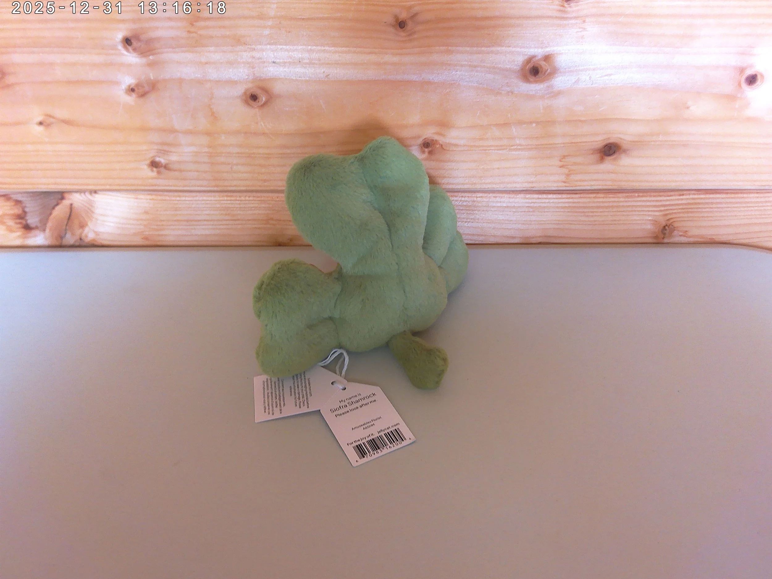 Shamrock - photo 2.jpg