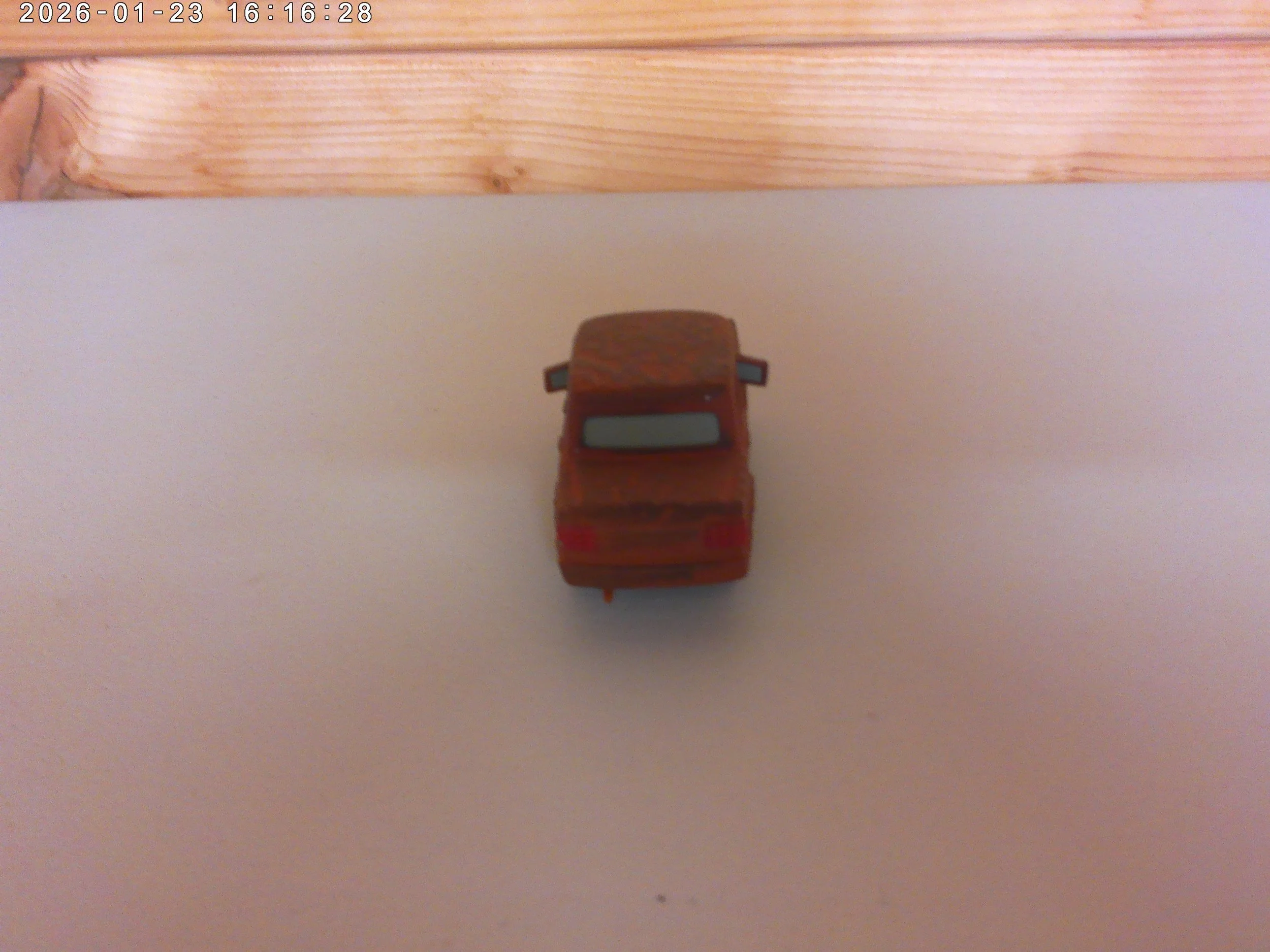 Fred - photo 3.jpg