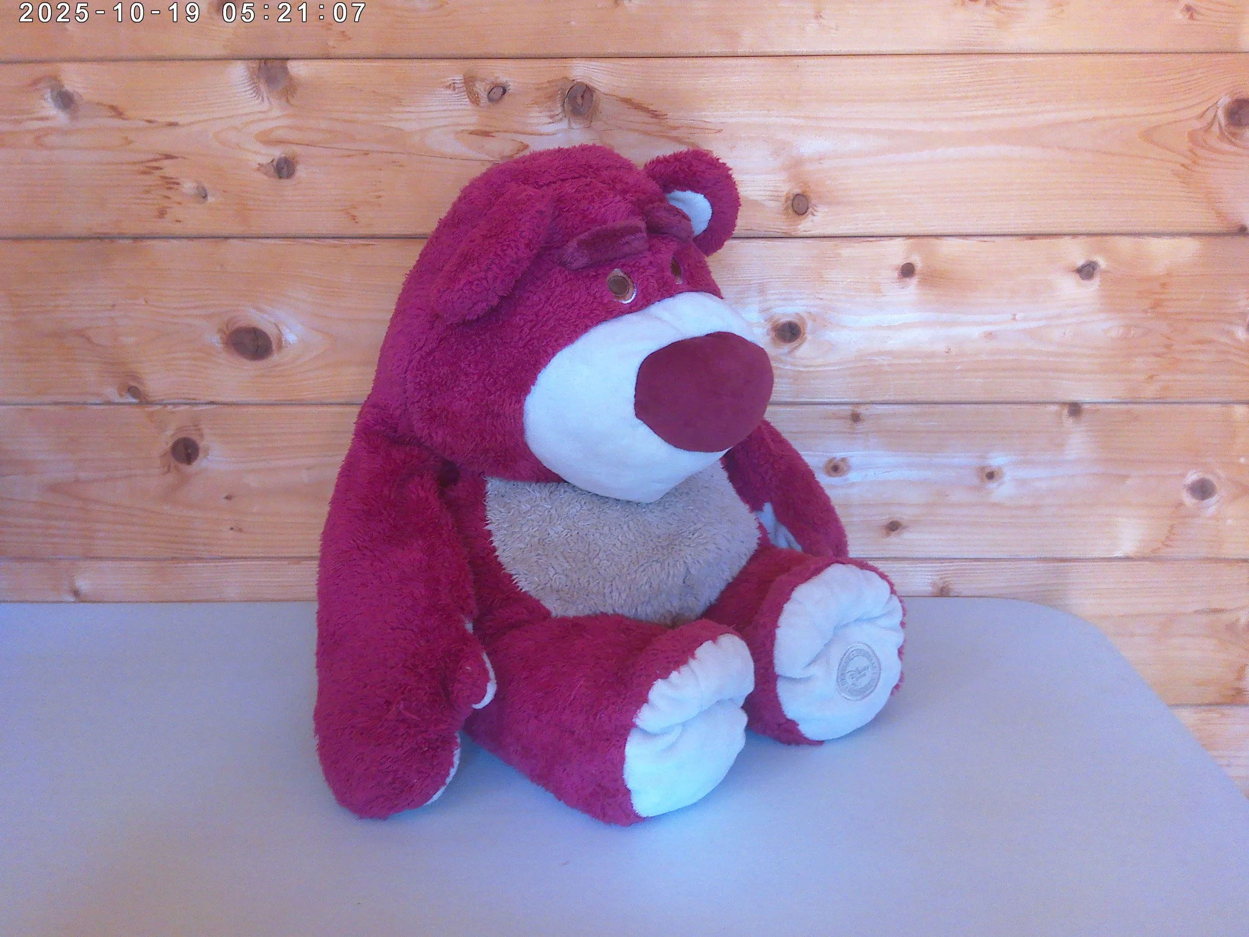 Lotso - photo 1.jpg