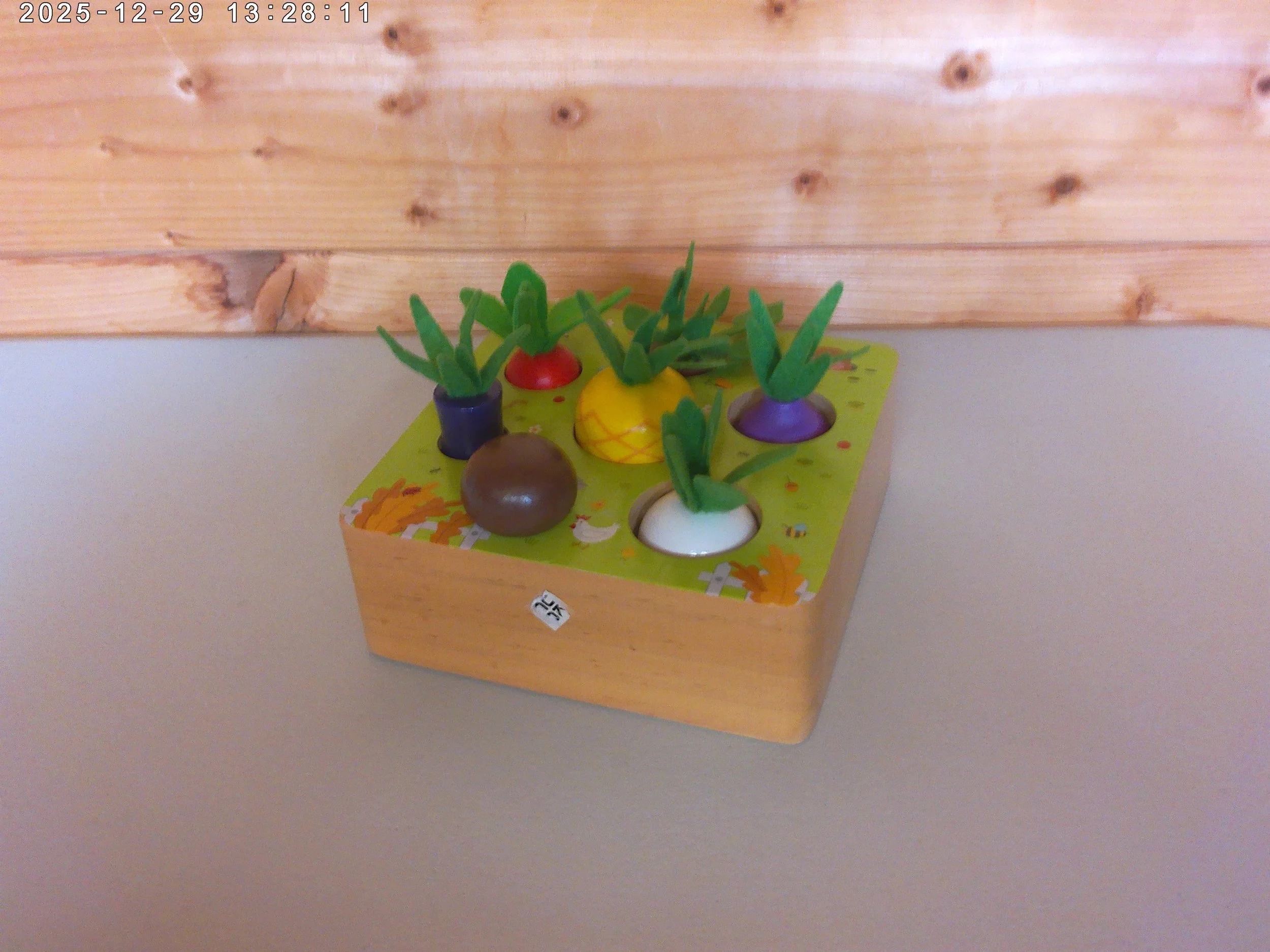 Vegetable shape sorter - photo 1.jpg