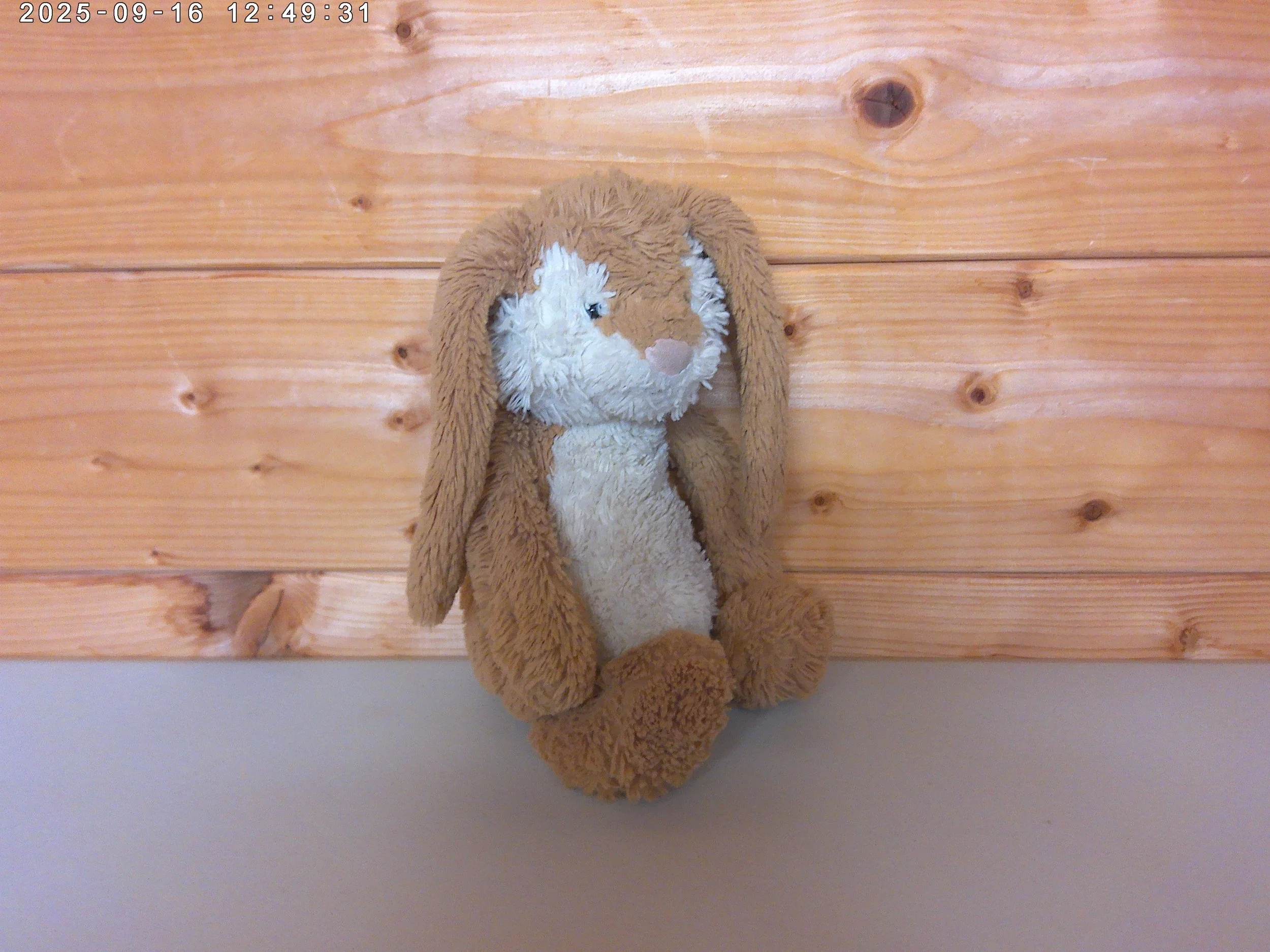 Wriggle bunny - photo 3.jpg
