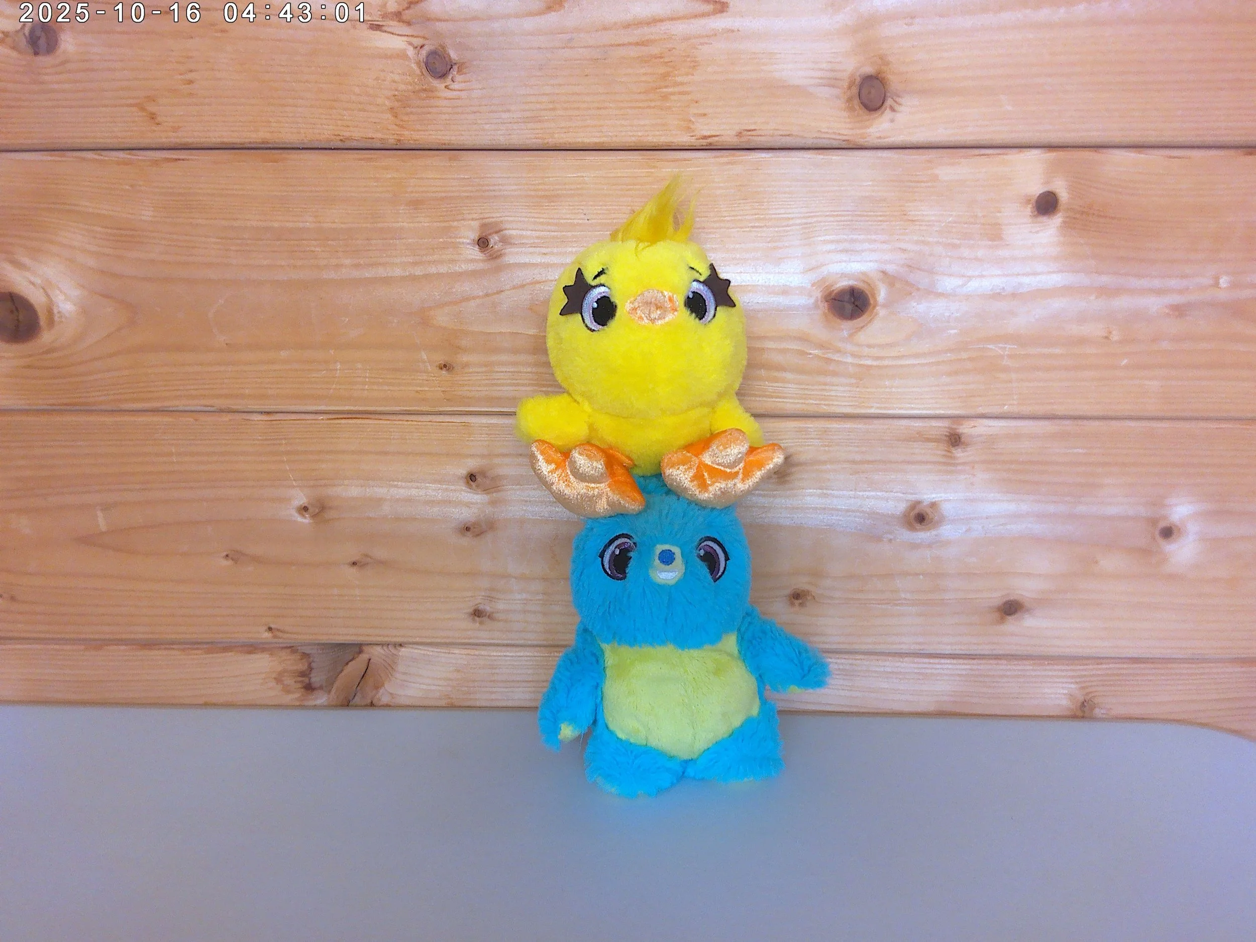 Bunny & ducky - photo 4.jpg