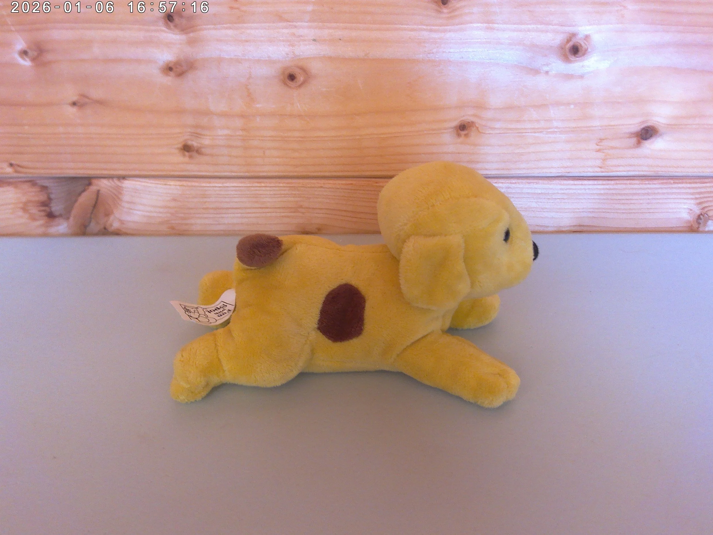 spot - photo 4.jpg