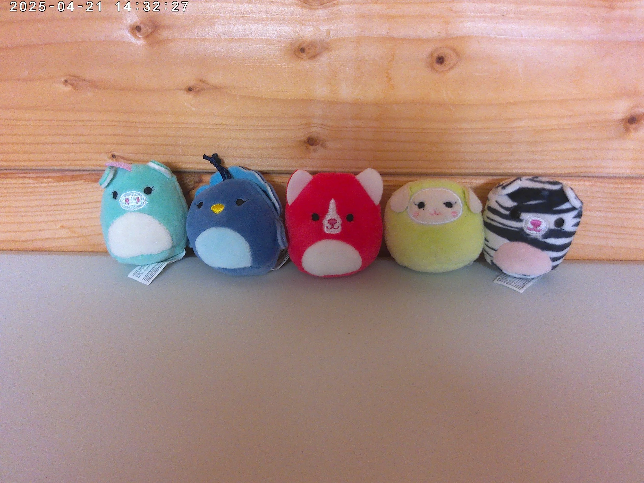 Mini squishmallows set 1.jpg