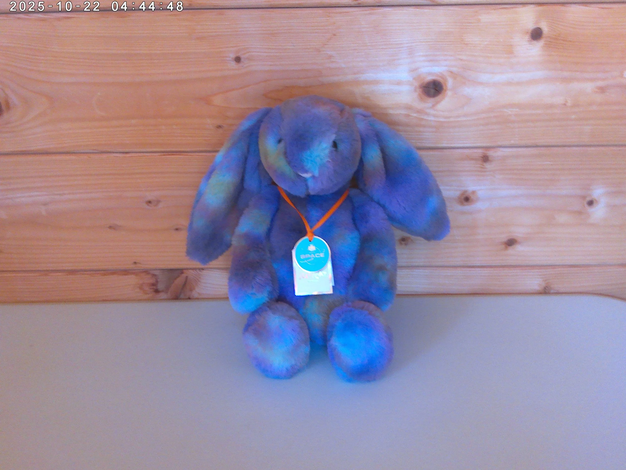 Zodihop bunny - photo 1.jpg