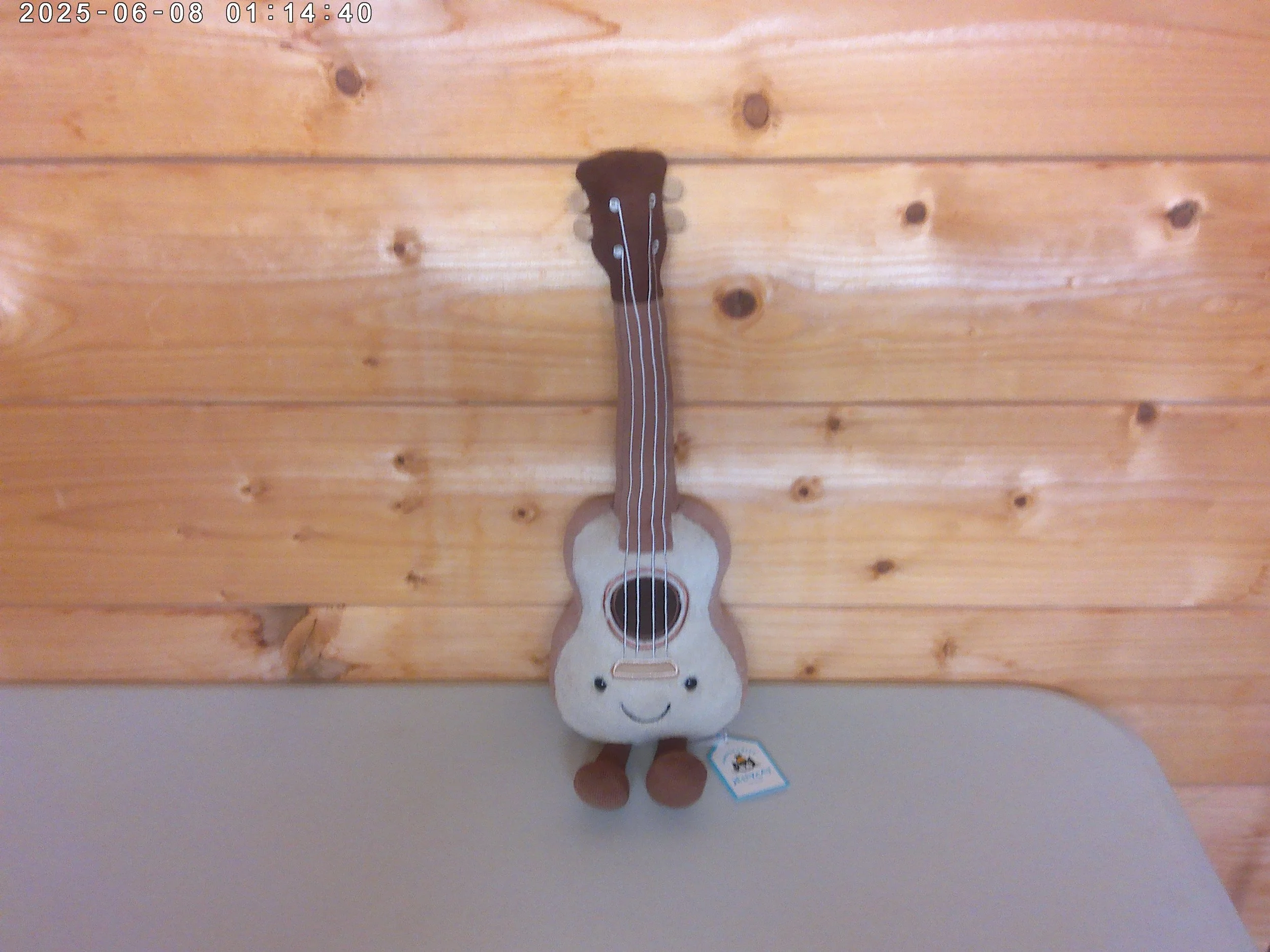 Ukulele - photo 1.jpg