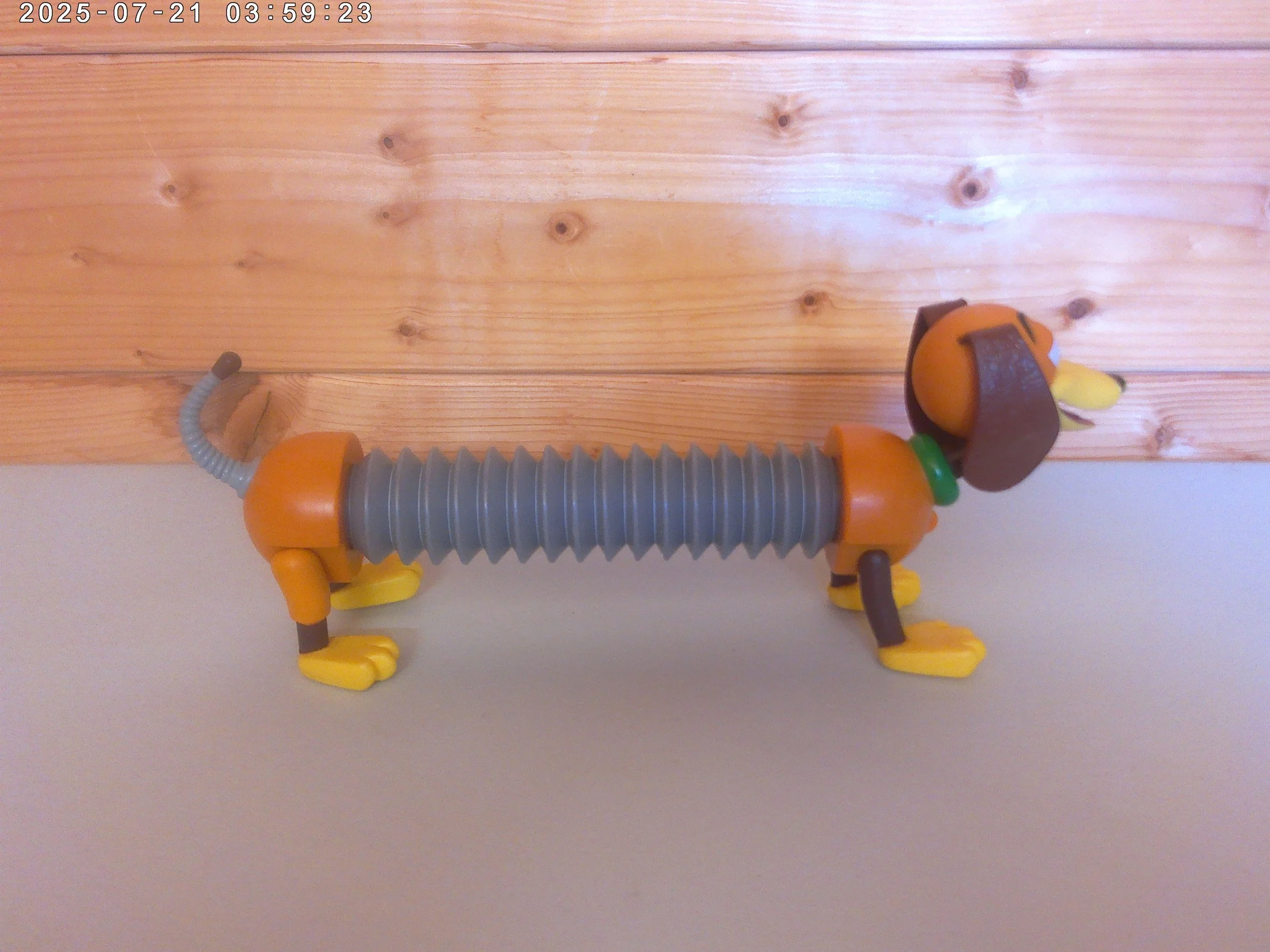 Slinky - photo 3.jpg