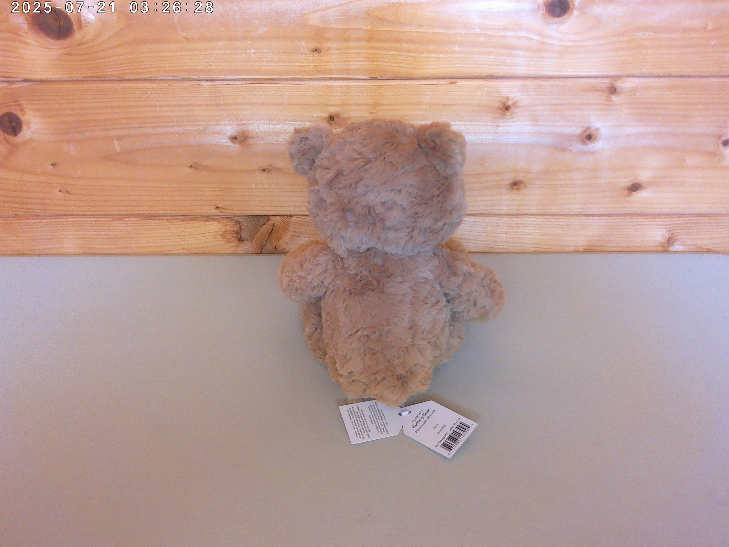 Bumbly bear - photo 2.jpg