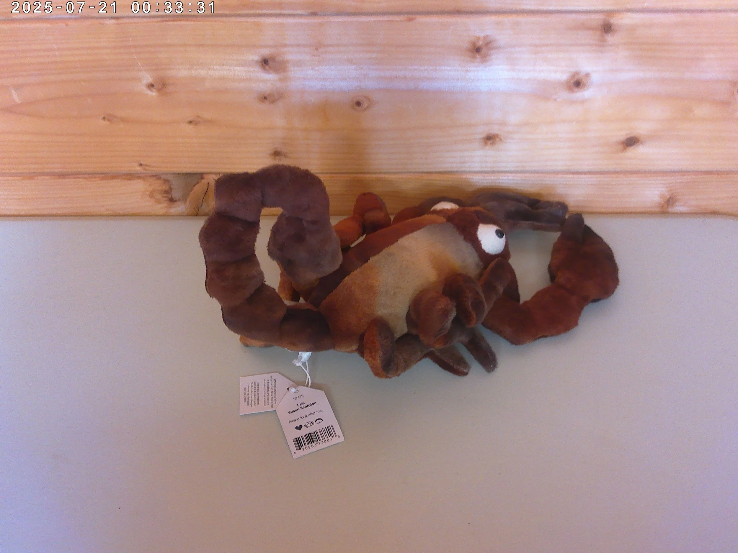 Simon Scorpion - photo 2.jpg