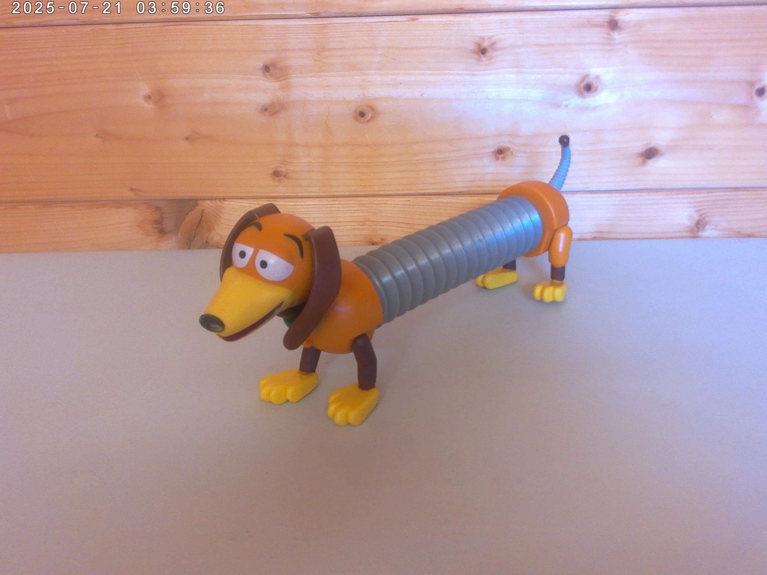 Slinky - photo 4.jpg