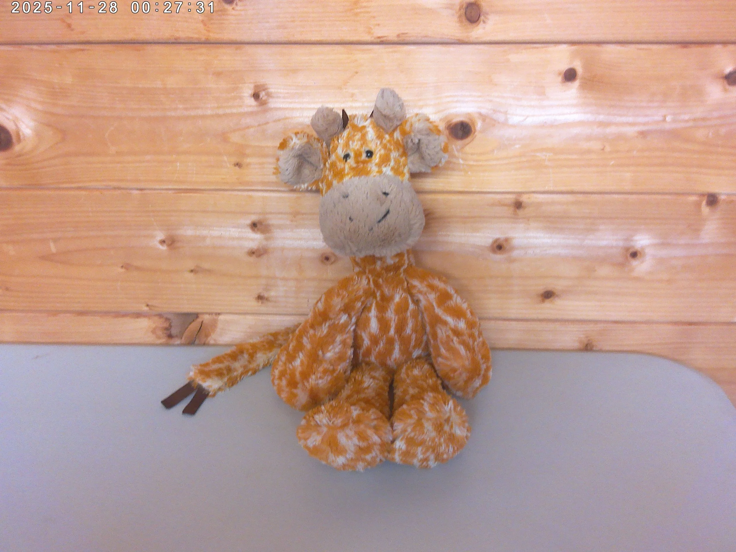 Merryday Giraffe - photo 1.jpg