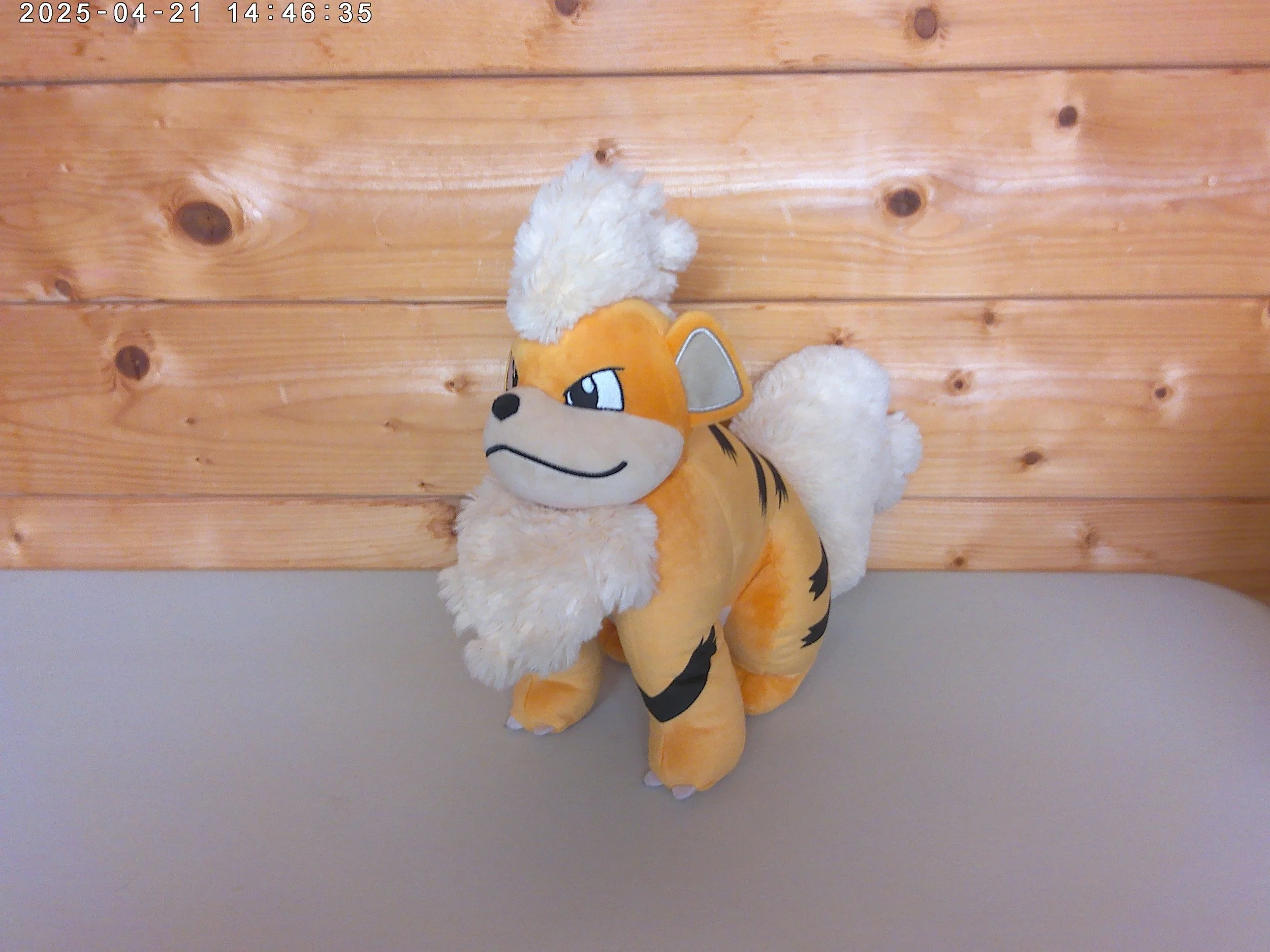 Growlithe - photo 1.jpg