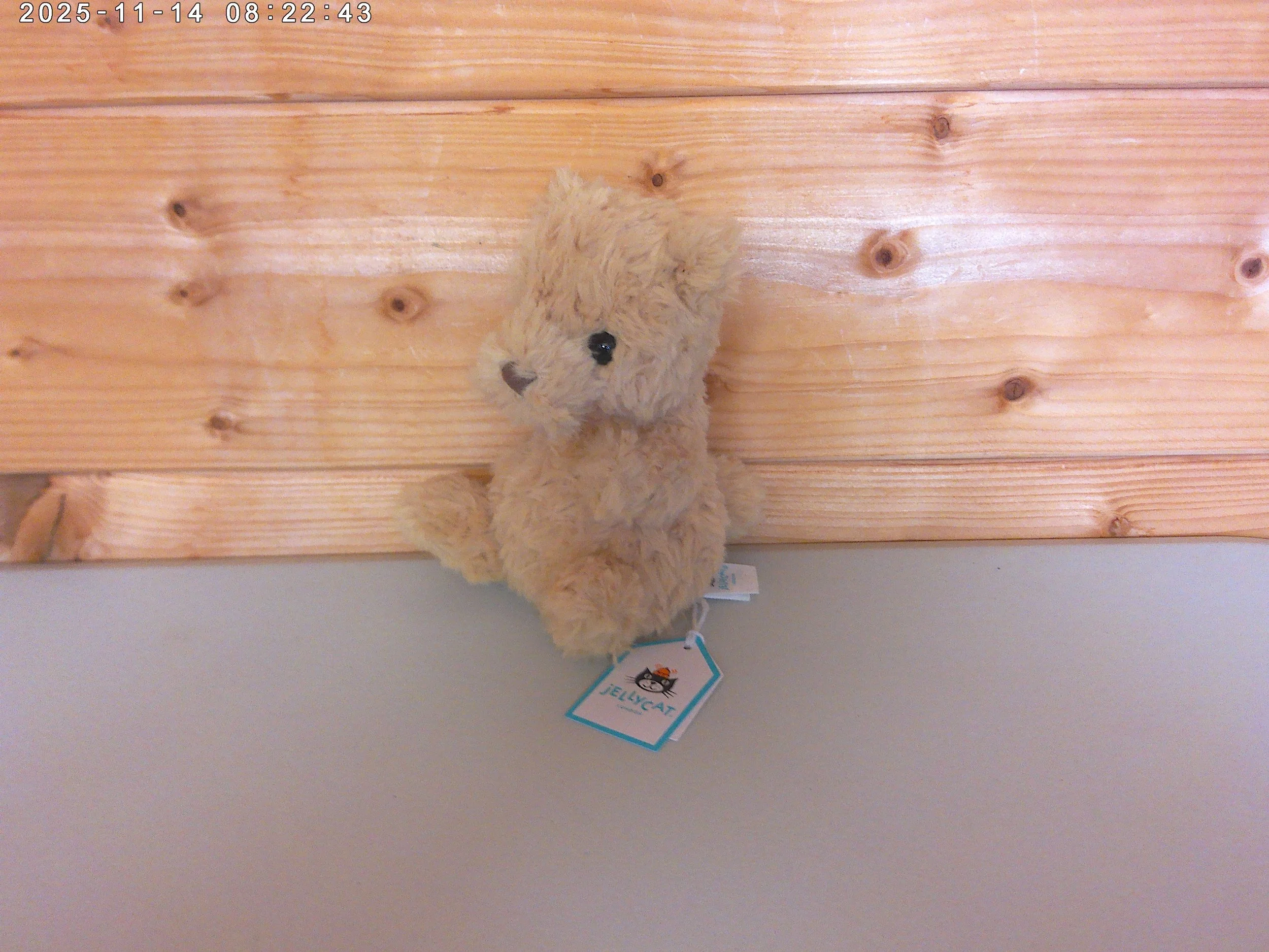 Yummy bear - photo 4.jpg