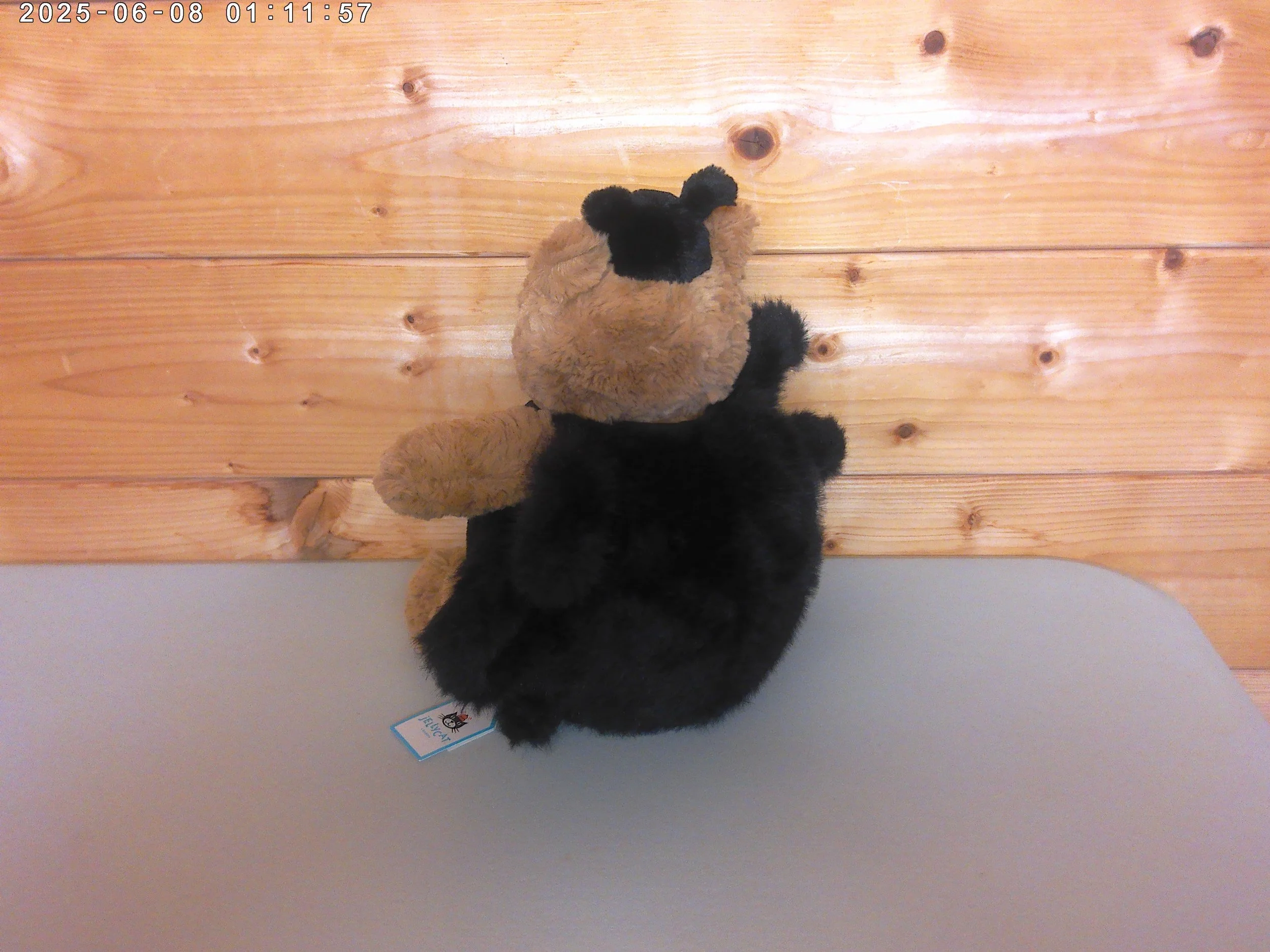 Barth spider - photo 2.jpg