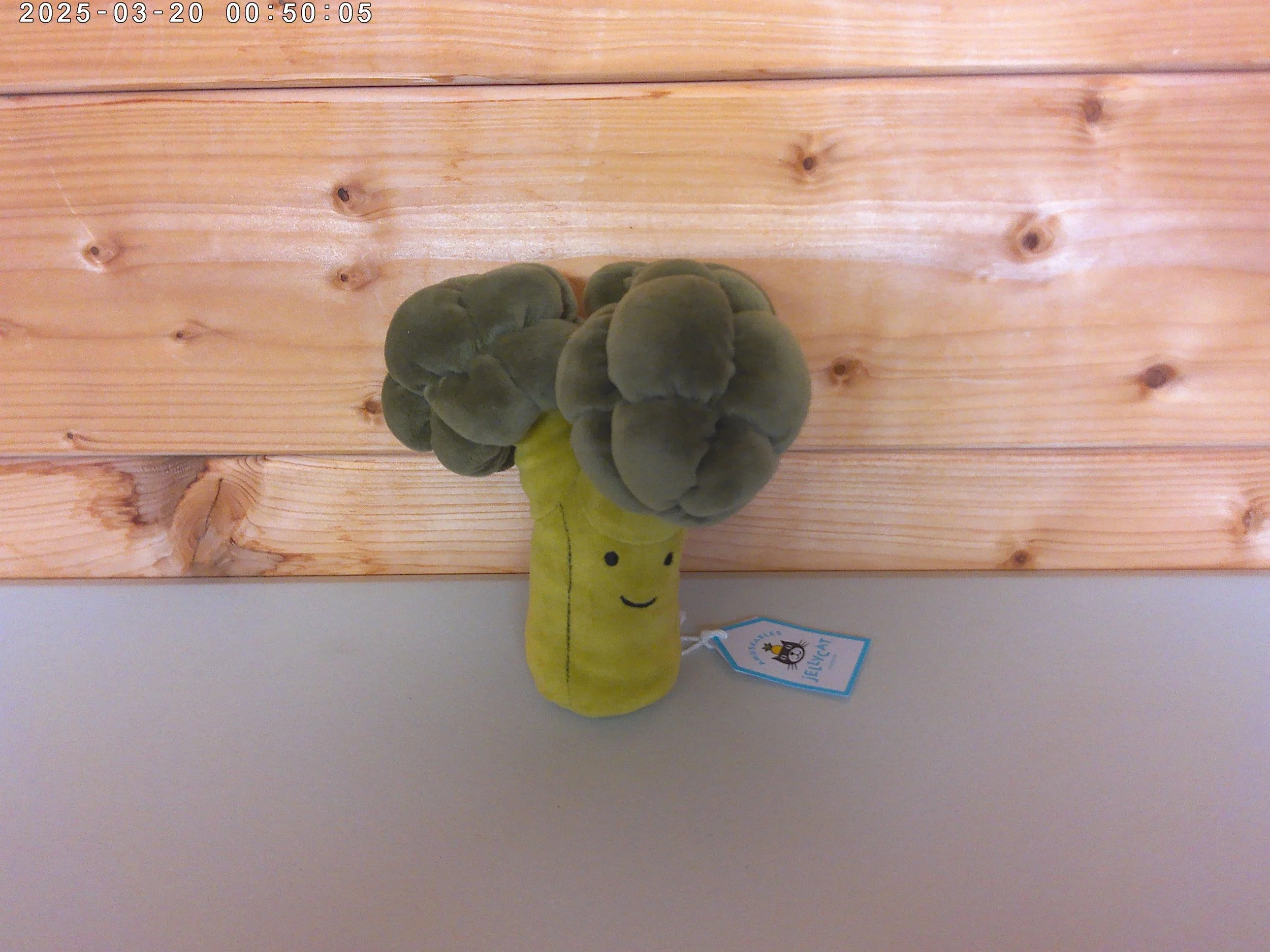 Broccoli - photo 3.jpg