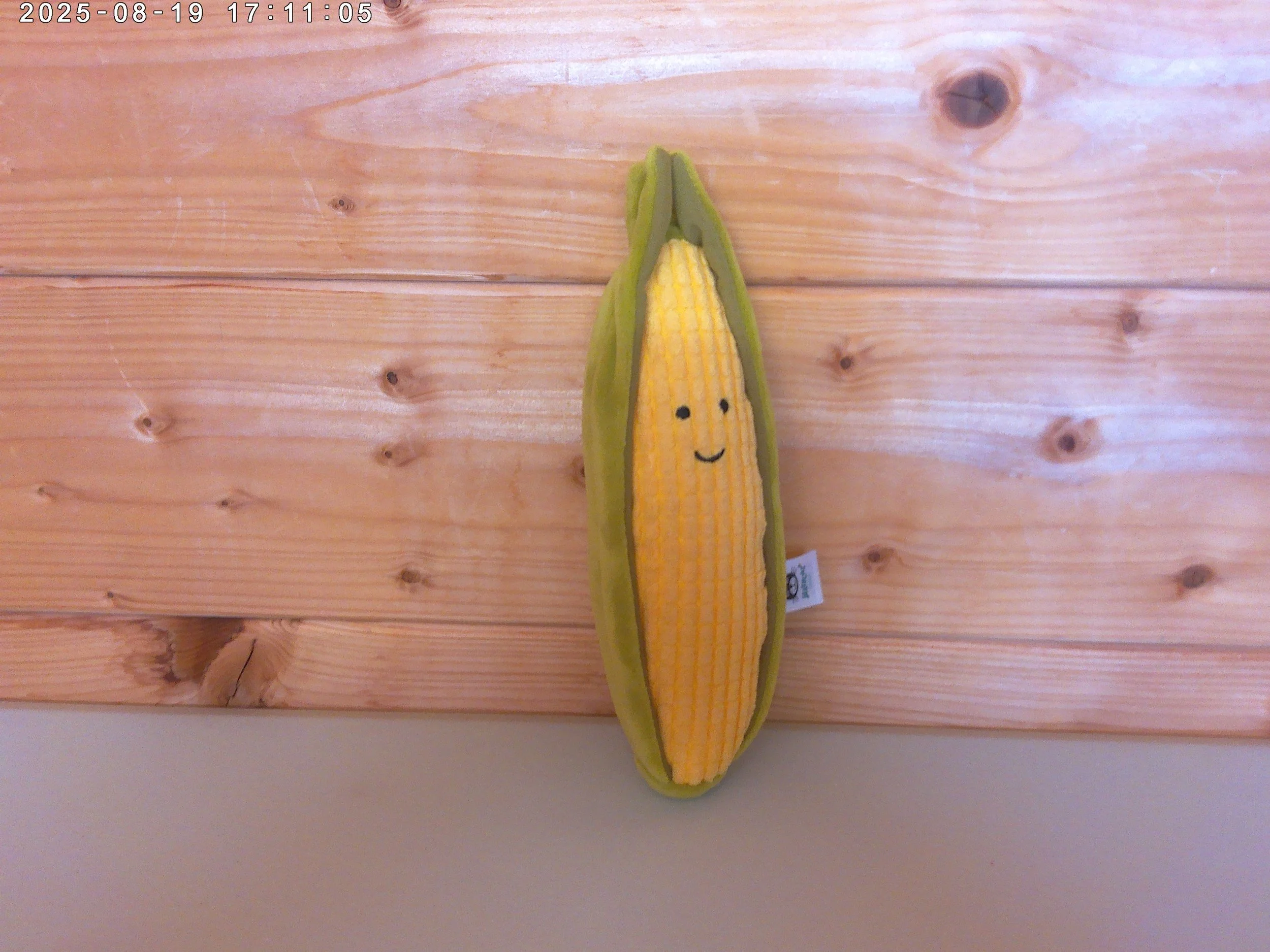 Sweetcorn - photo 3.jpg