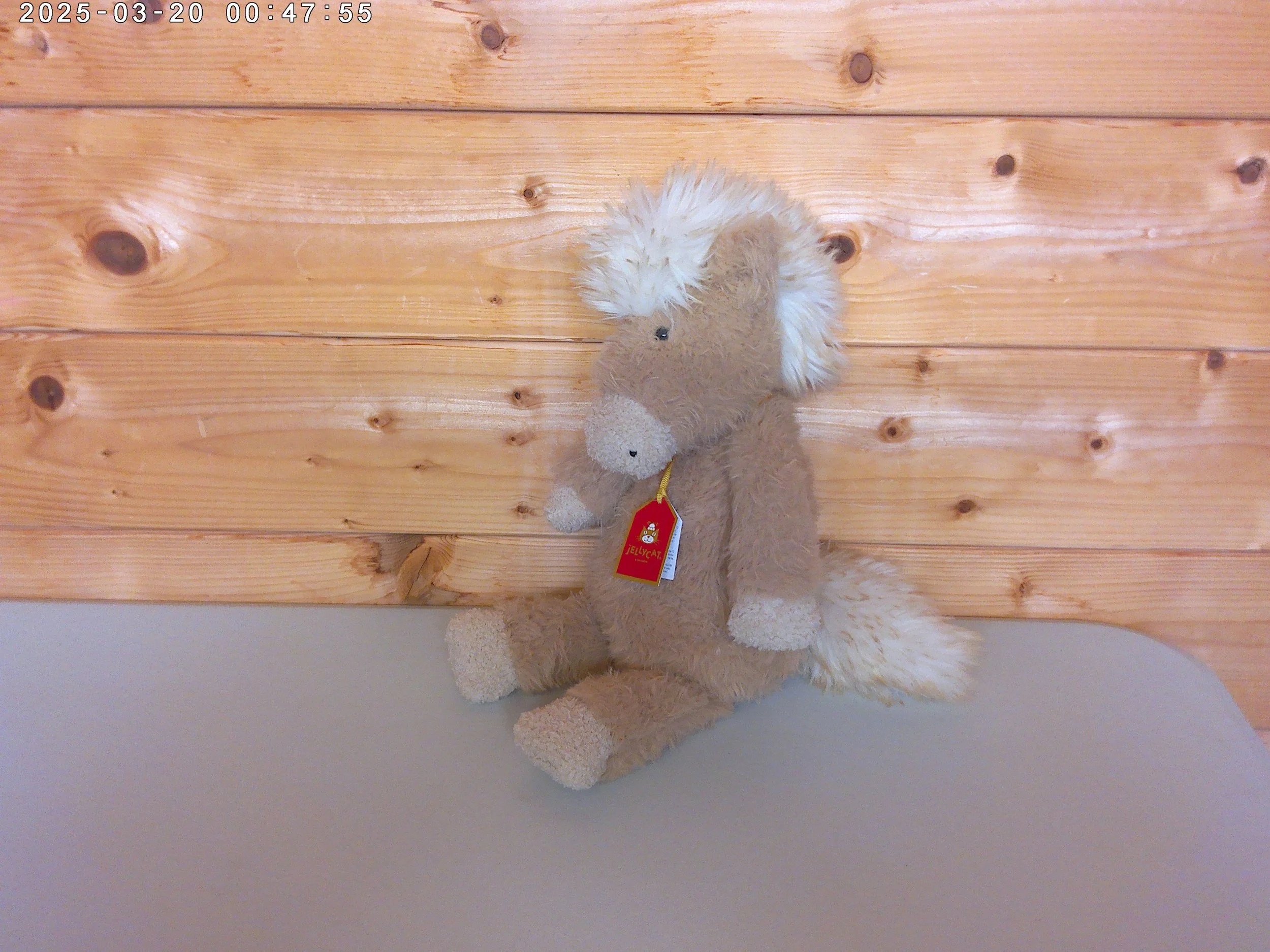 Pony - photo 4.jpg