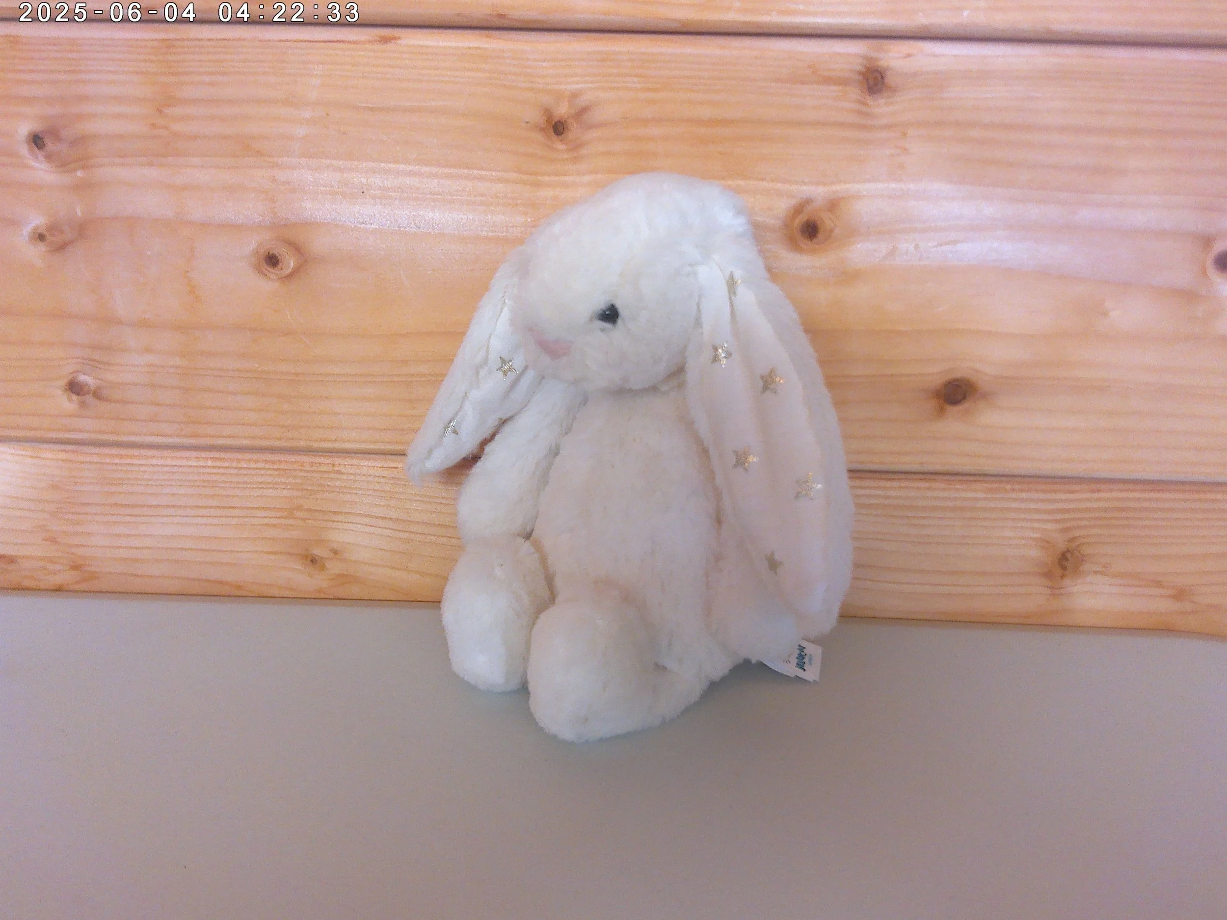 Twinkle bunny - photo 3.jpg