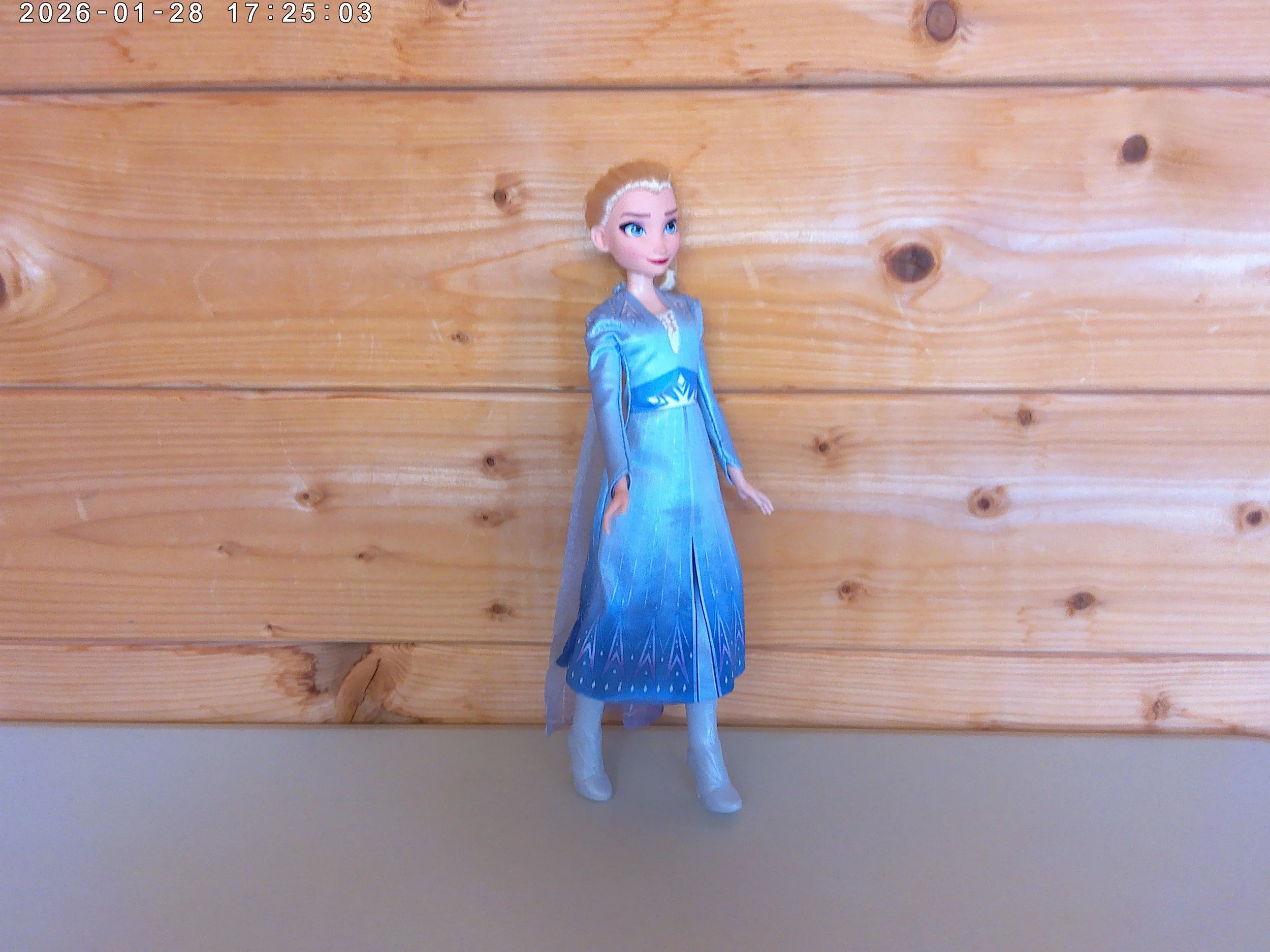 Elsa - photo 3.jpg