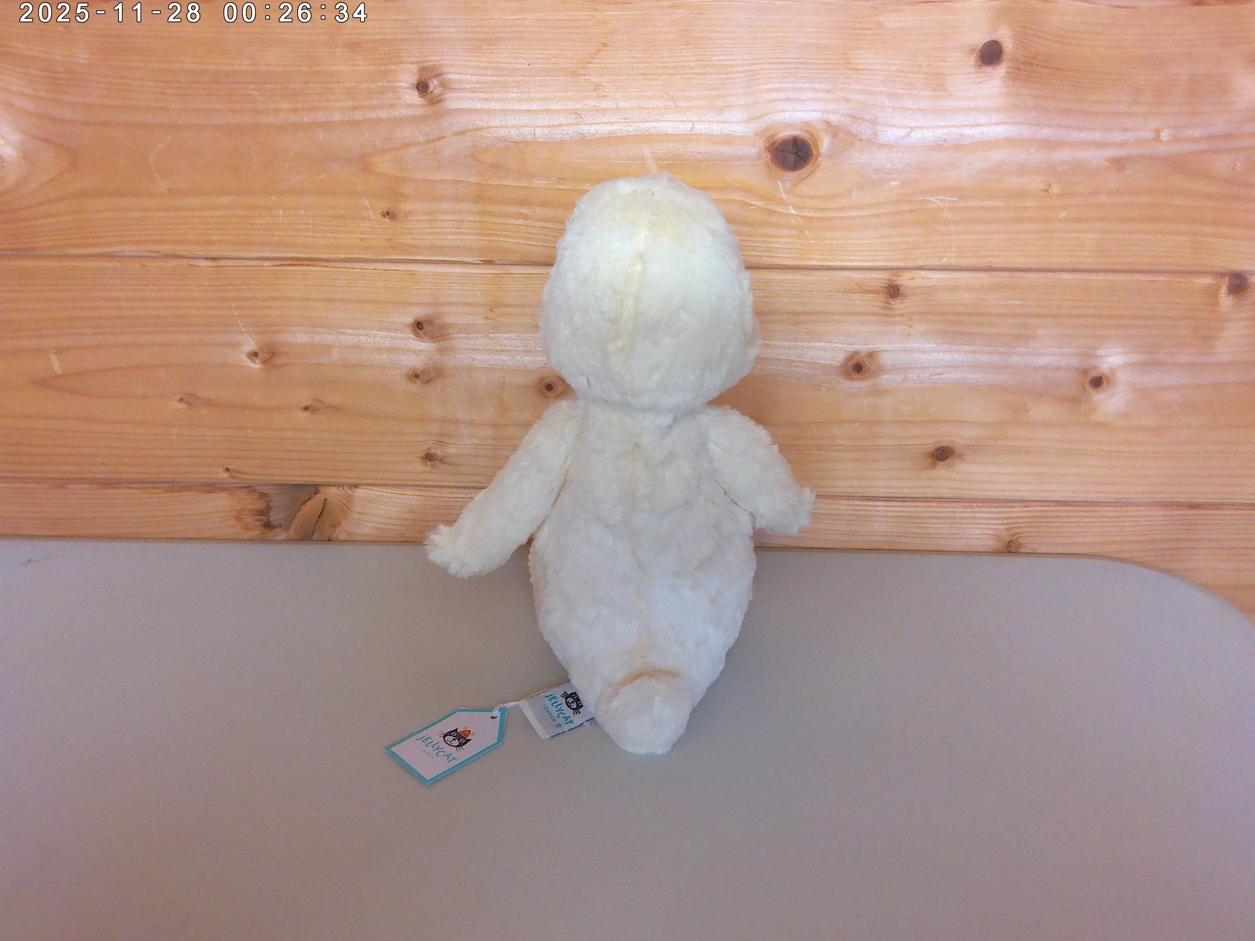 Bashful Duck - photo 3.jpg