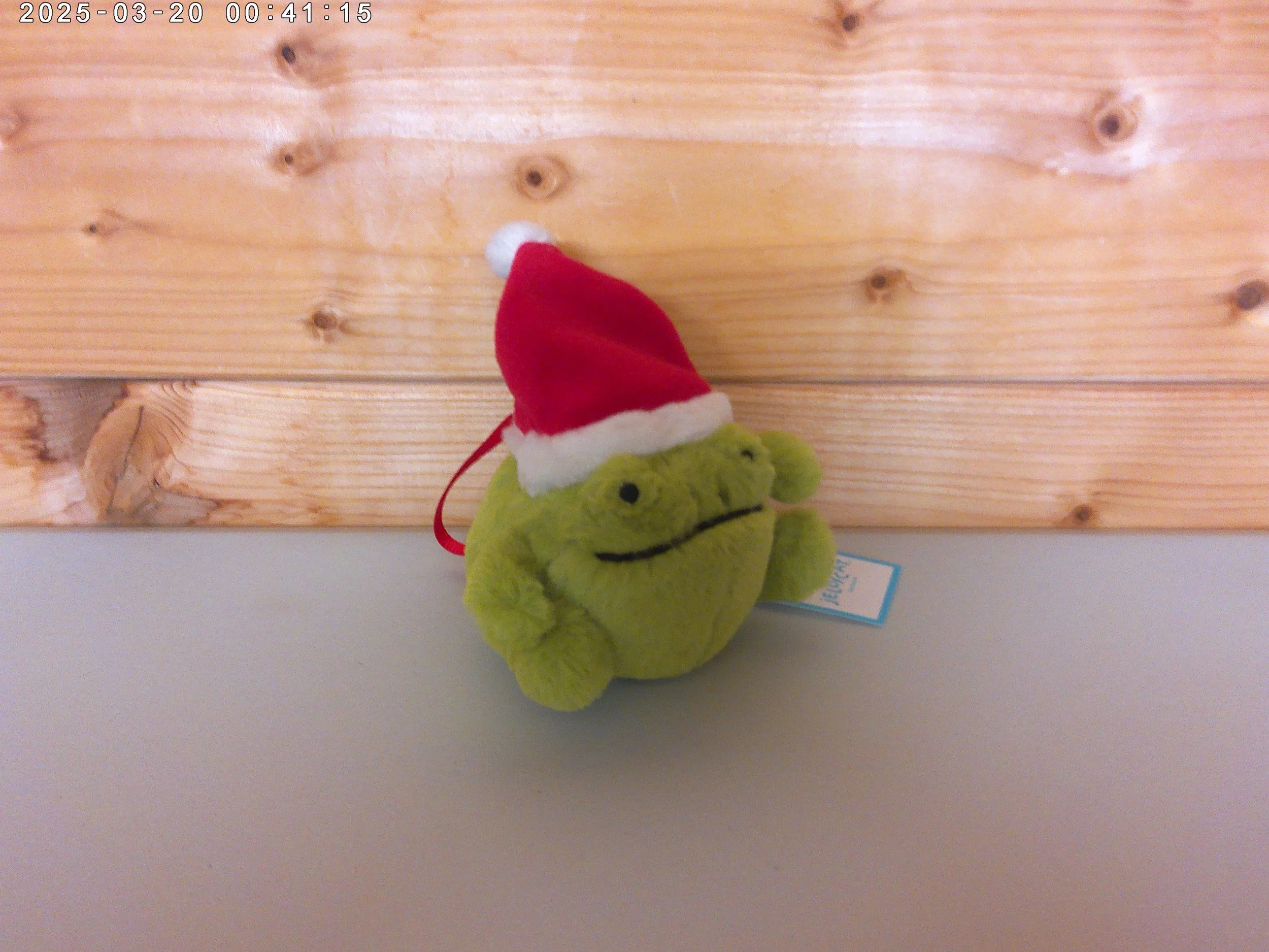 Ricky hanger - photo 3.jpg