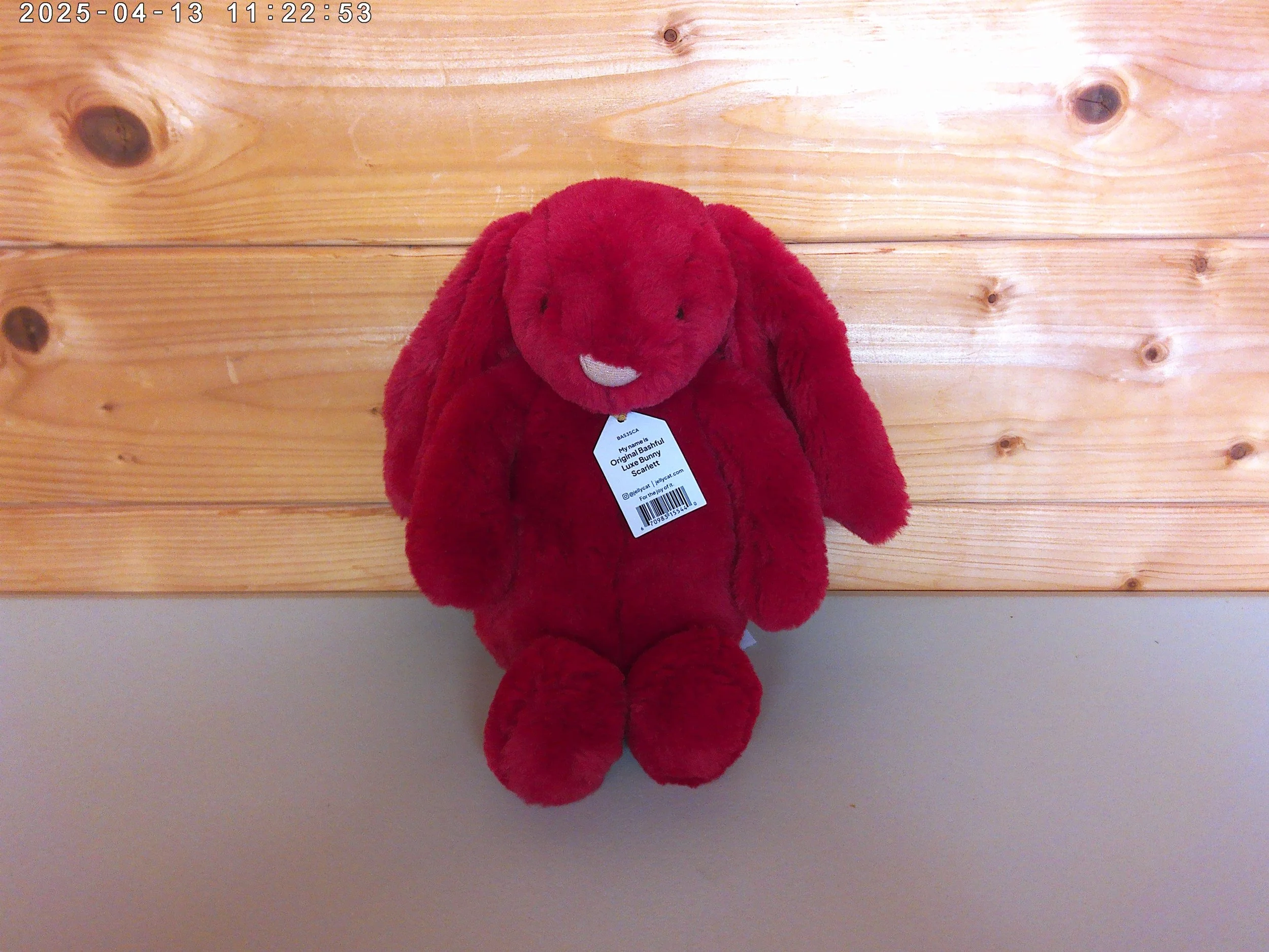 Scarlett bunny medium - photo 3.jpg