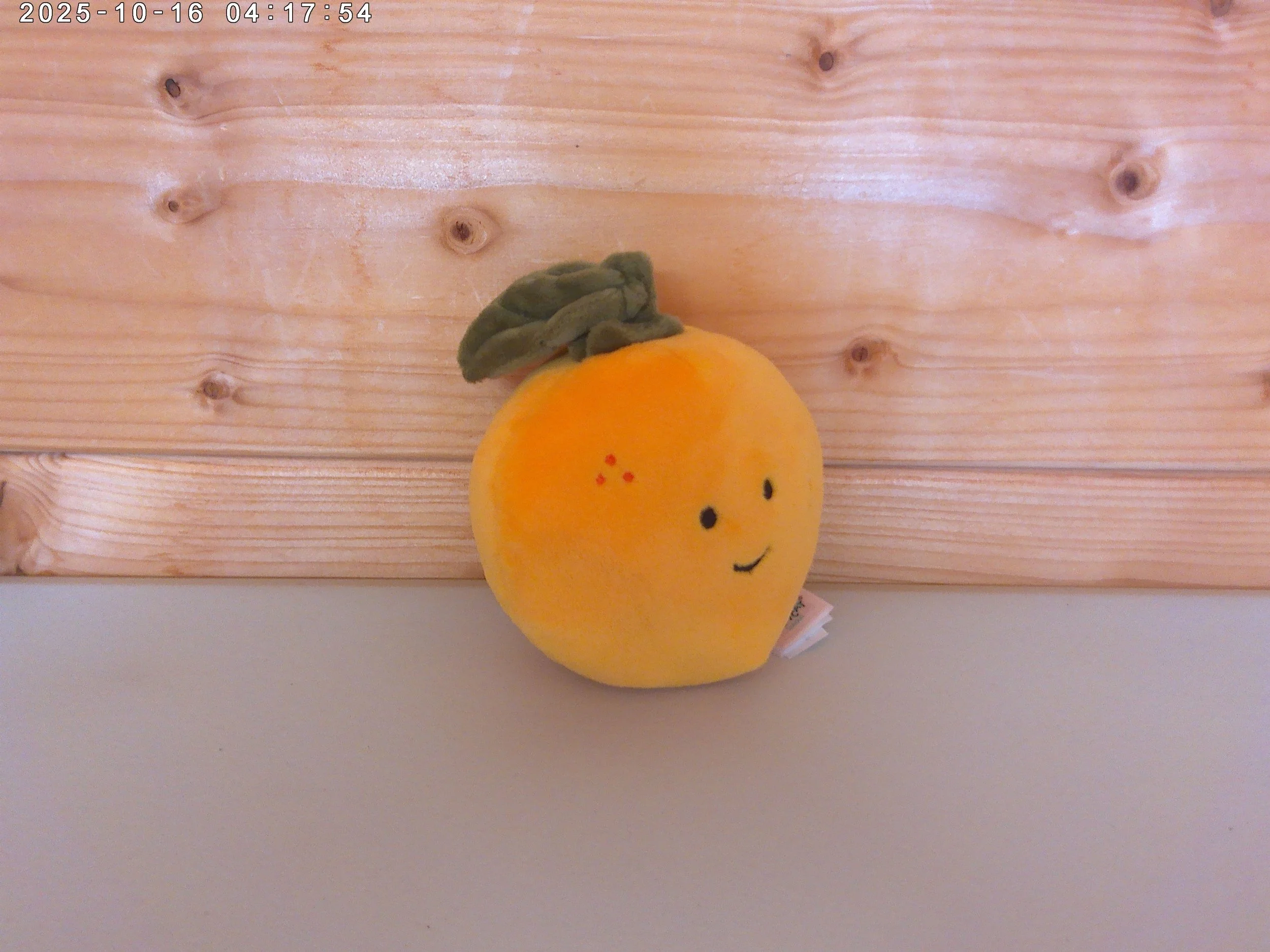 orange - photo 2.jpg
