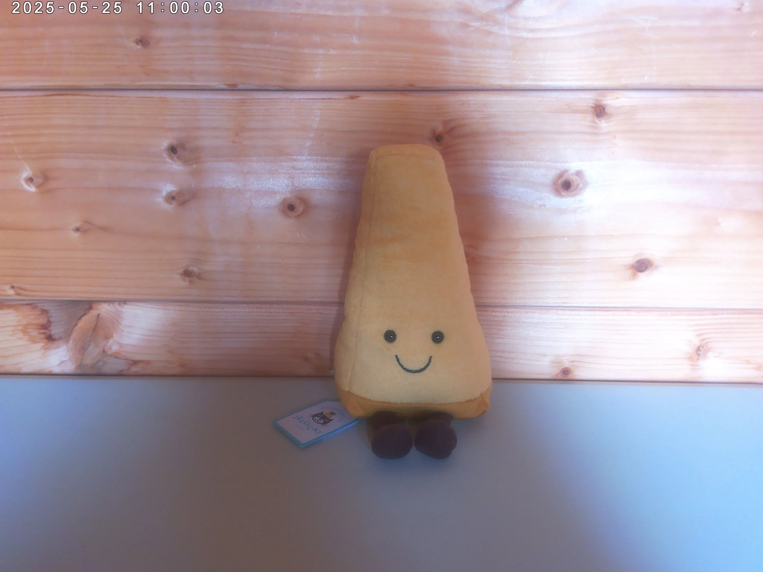 Parmesan - photo 1.jpg