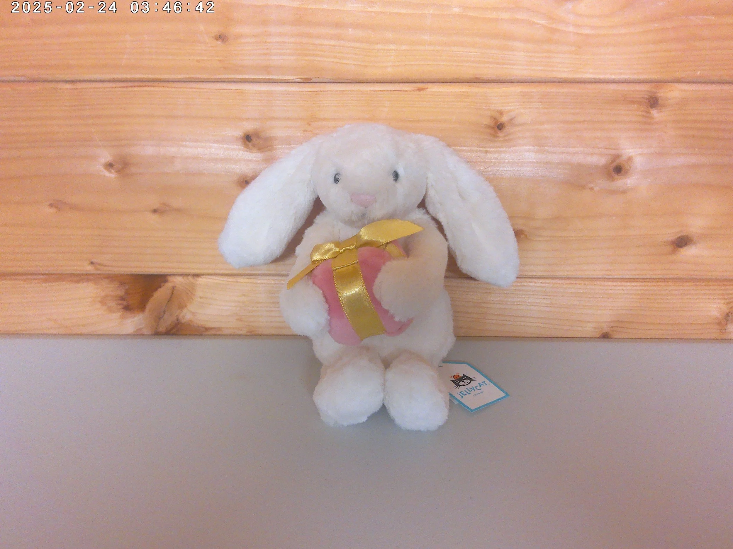 Bunny present - photo 1.jpg