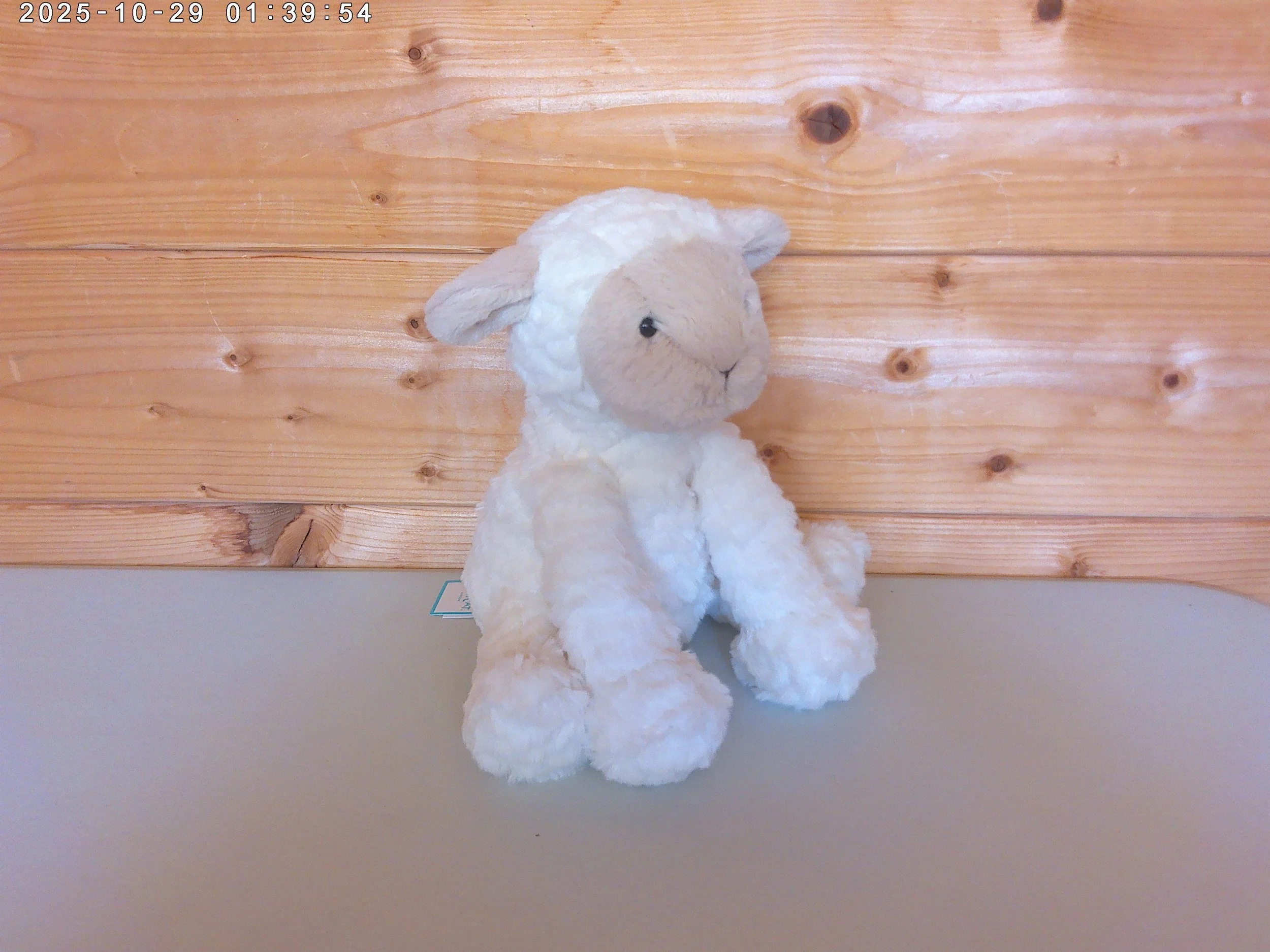 Fudlewuddle lamb - photo 3.jpg