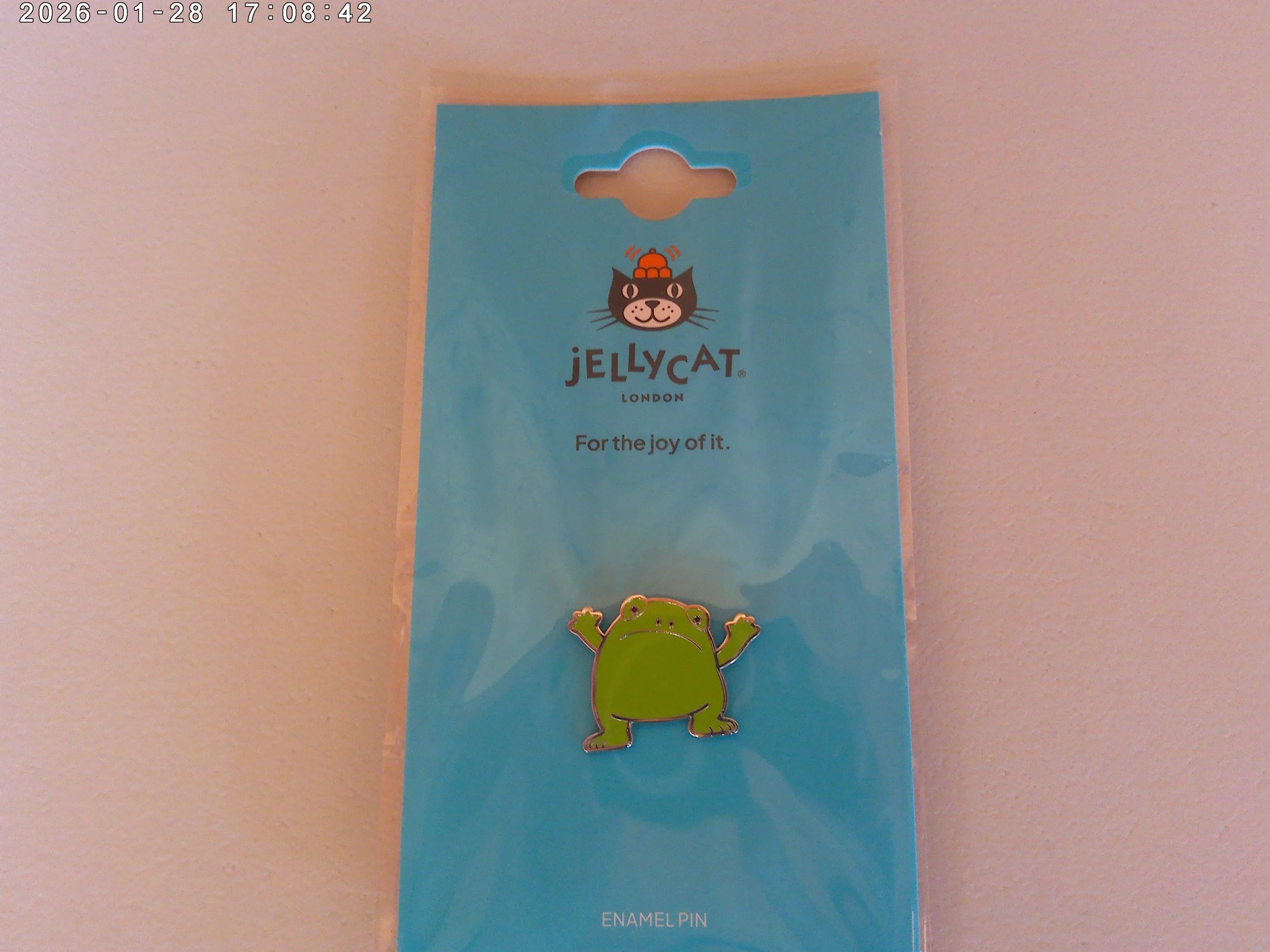 Ricky Rainfrog pin - photo 2.jpg
