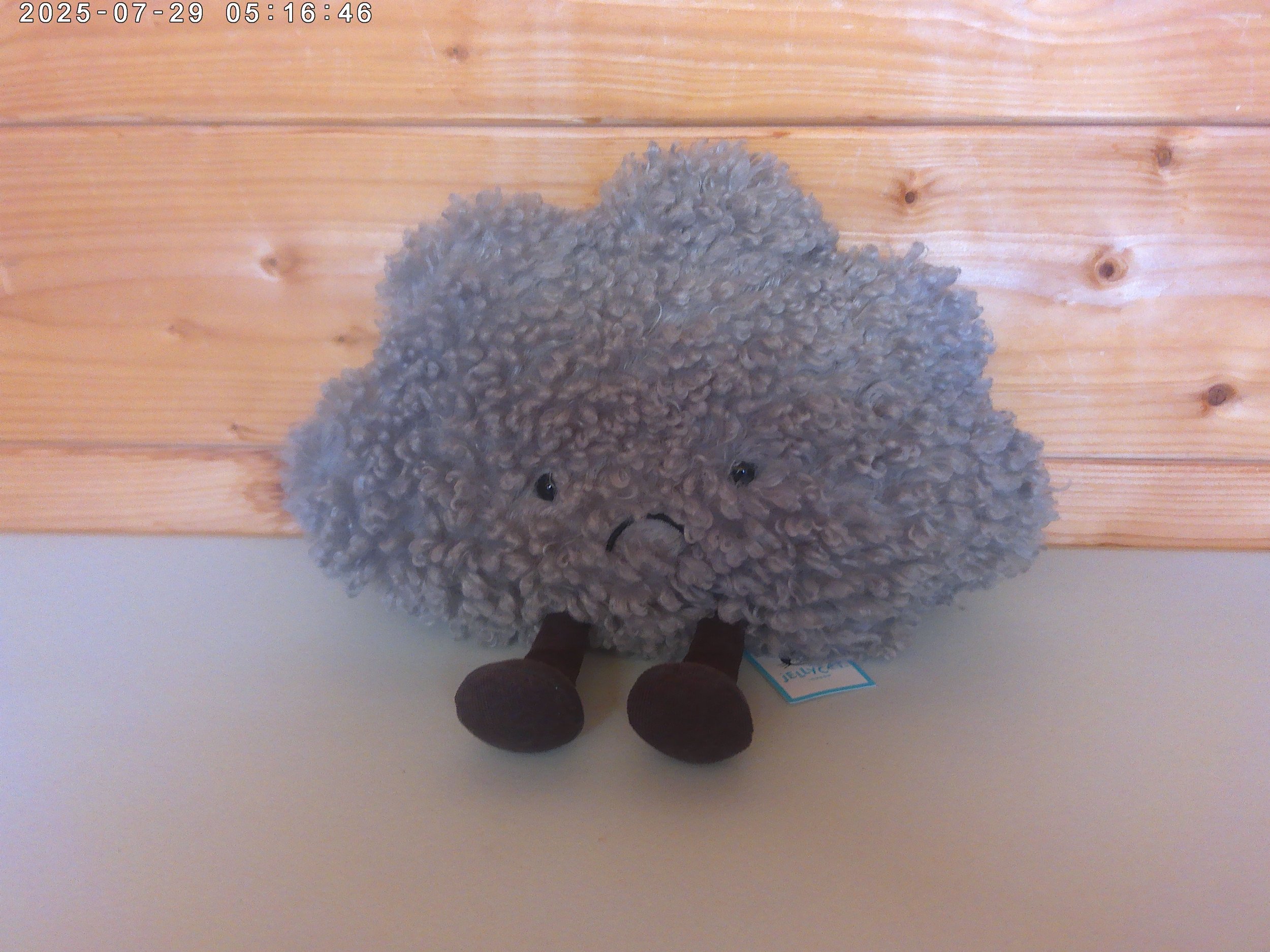 Jellycat Amuseable Storm Cloud - New
